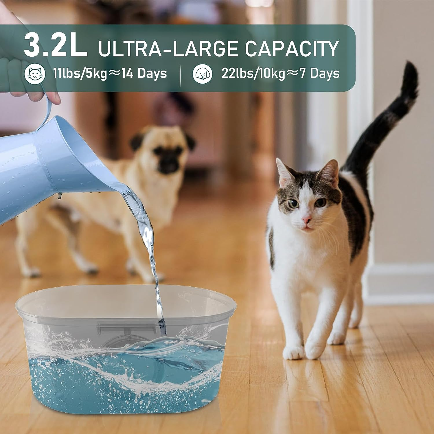 Cat Water Fountain 3.2L/108Oz Automatic Stainless Steel Pet Fountain | Quiet Pump | Water Level Window | LED Light| Multi-Layer Filtration System | Easy to Clean| for Cats Dogs image number 4