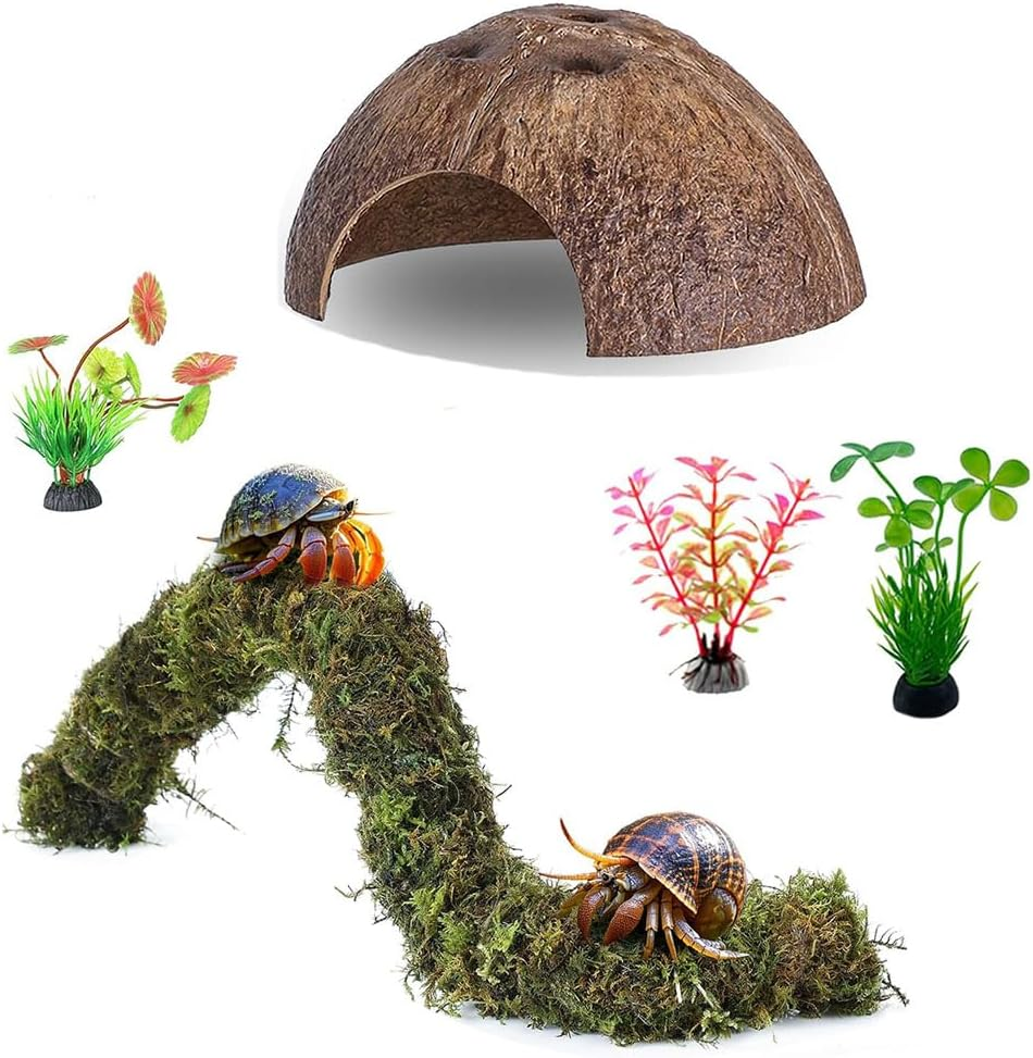 5Pcs Hermit Crab Accessories,Coconut Shell Hideout Hut Plants for Reptile Amphibians Supplies,Hermit Crab Climbing Toys image number 4