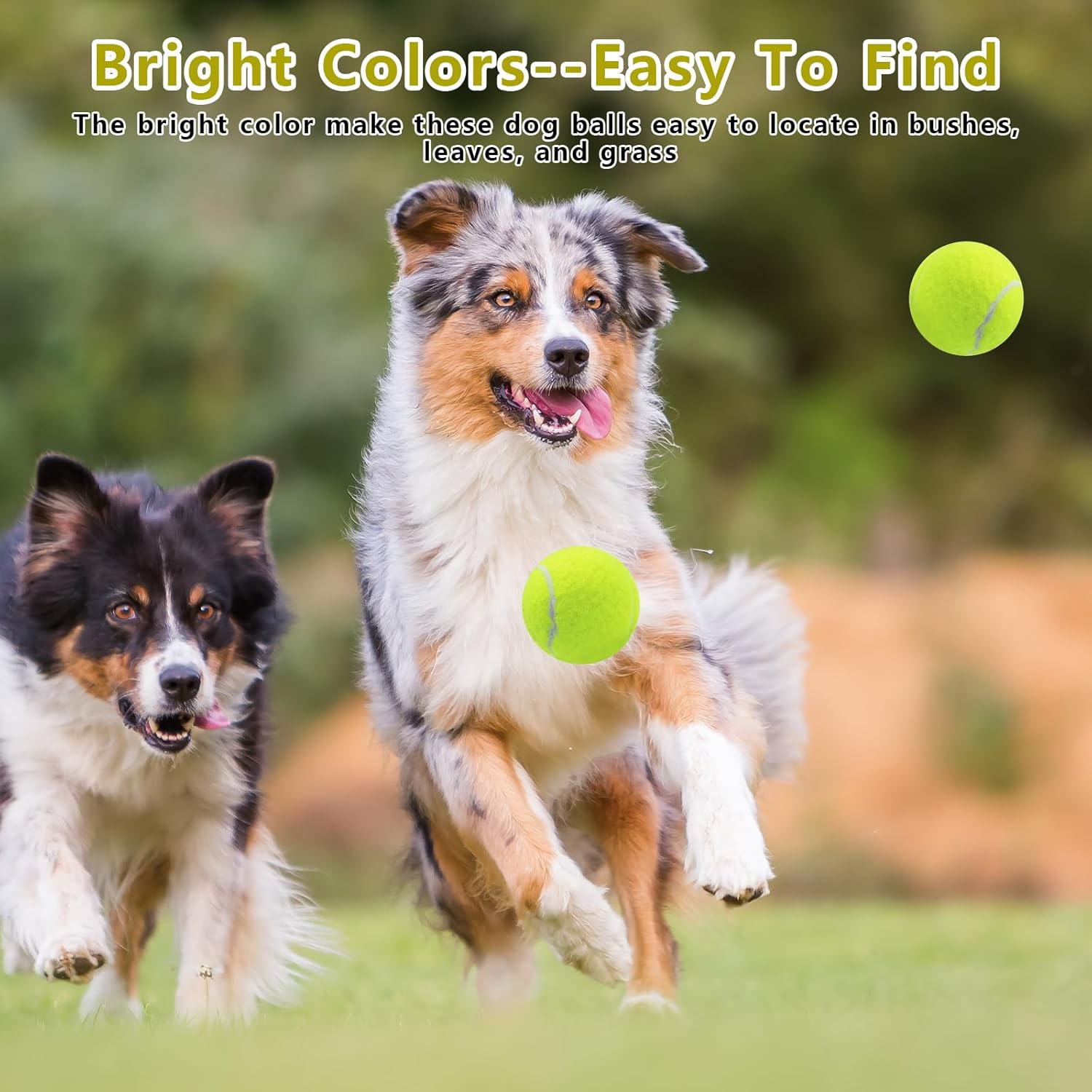 Magicorange Dog Tennis Balls, 20 Pack 2.5 Inch Floatable Squeaky Tennis Balls for Fetch Exercise, Natural Rubber Squeaky Dog Balls Training Safe (Yellow, 2.5Inch) image number 1