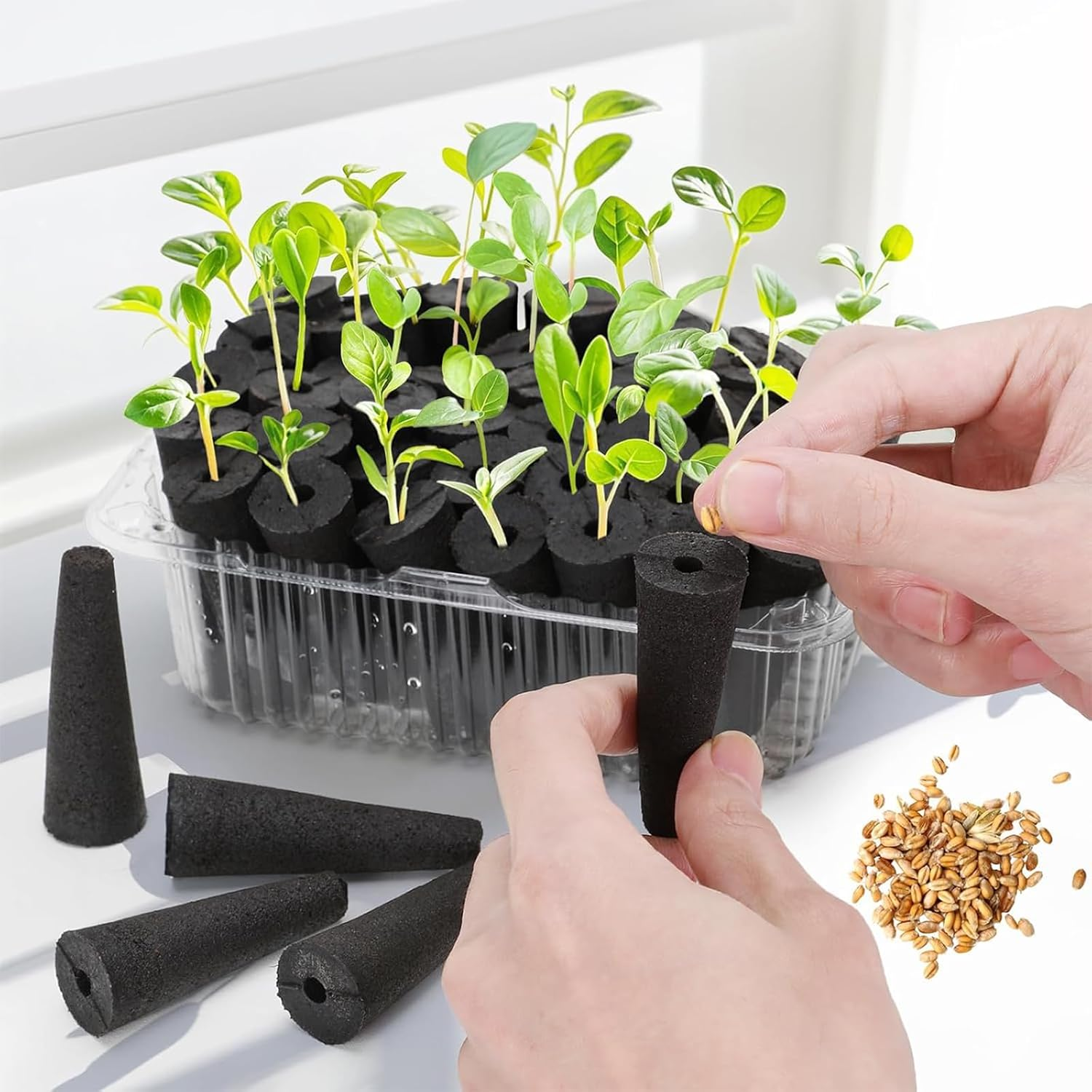 50 Pcs Ling-Luo Grow Sponges, Seed Pods Replacement Root Growth Sponges Compatible with Aerogarden, Moldy-Free for Hydroponic Indoor Garden System image number 3