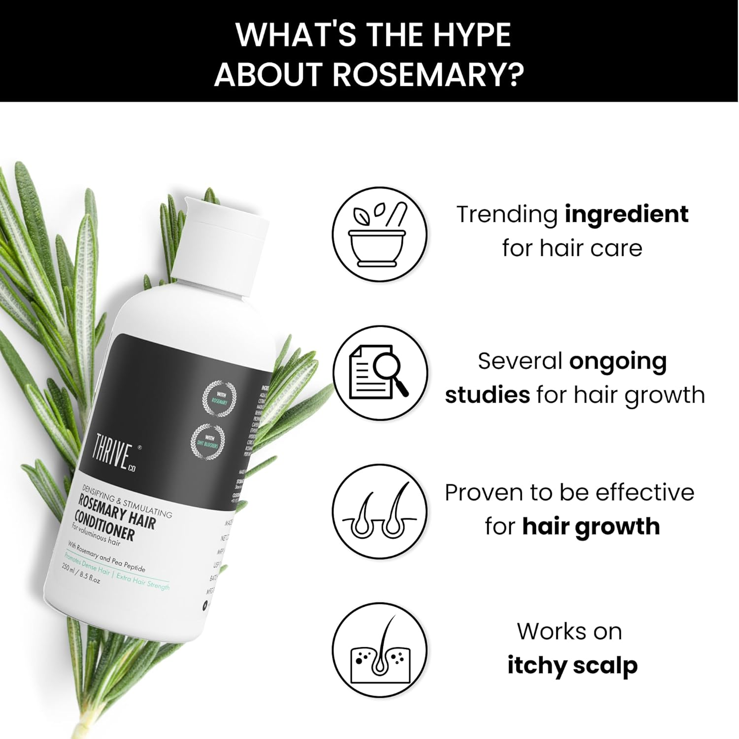 Thriveco Rosemary Hair Conditioner for Voluminous Hair | Densifying & Stimulating Hair Growth | with Pea Peptide & Caffeine | Paraben & Sulfate Free | for Men & Women | 250Ml image number 5
