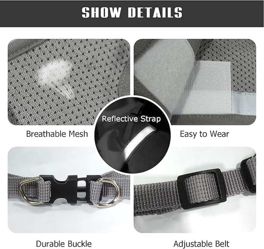 4M Pets No-Pull Reflective Mesh Dog Harness & Leash &ndash; Breathable, Step-In Vest for Small & Medium Dogs image number 6