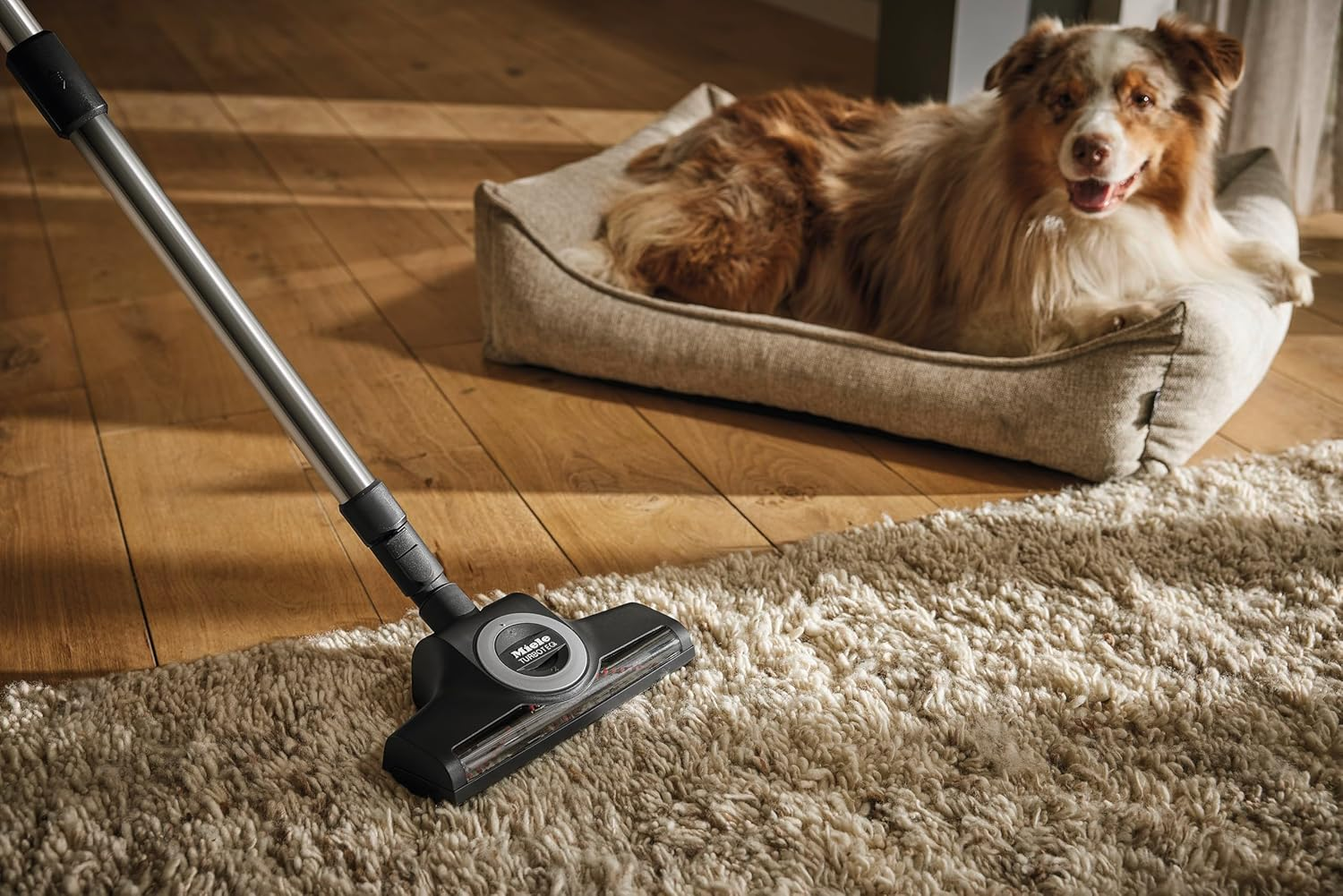 Miele STB 305-3 Turboteq Floorhead, Vacuum Cleaner Head Attachment for Short-Pile Carpets, Ideal for Pet Owners, Black image number 2