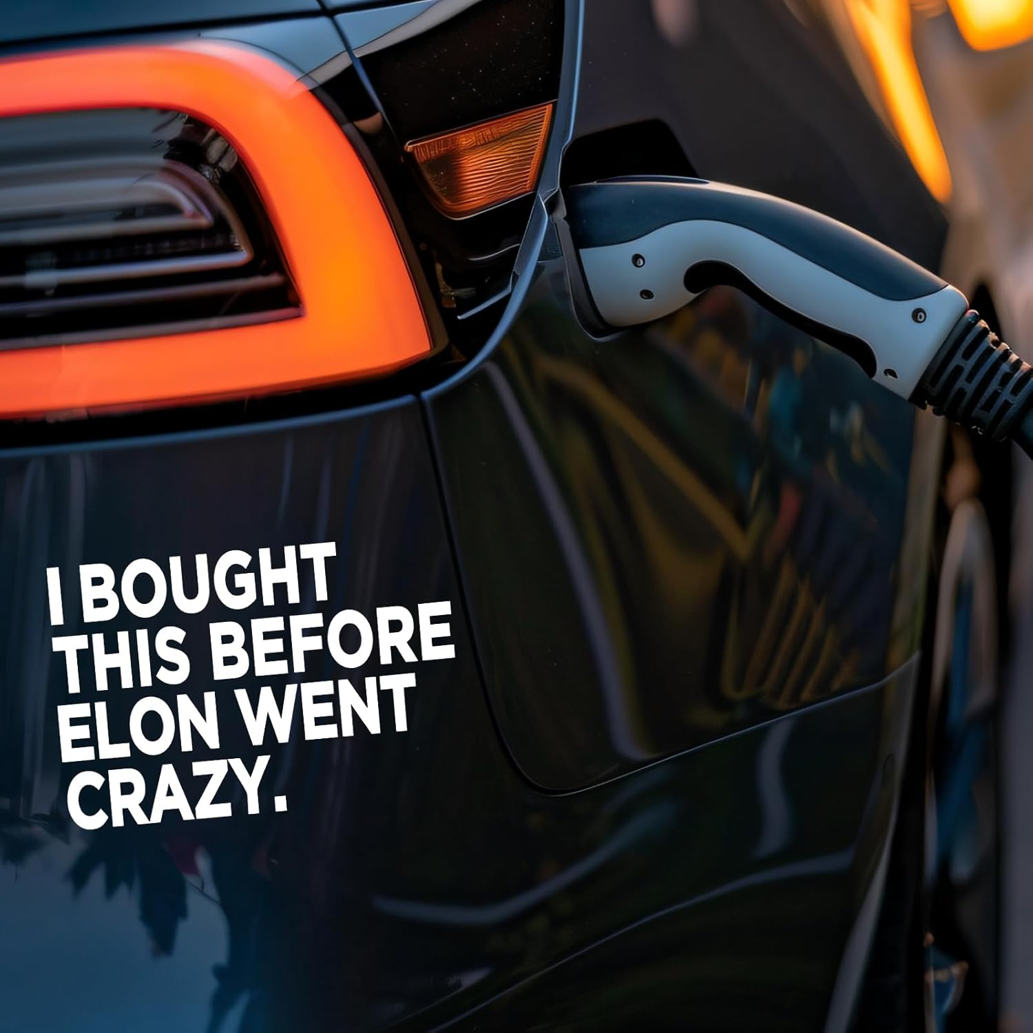 3Pcs Anti-Elon Bumper Stickers, Funny Vinyl Bumper Stickers I Bought This before We Knew Elon Was Crazy Bumper Sticker for Car Bumper Window Decorative Sticker