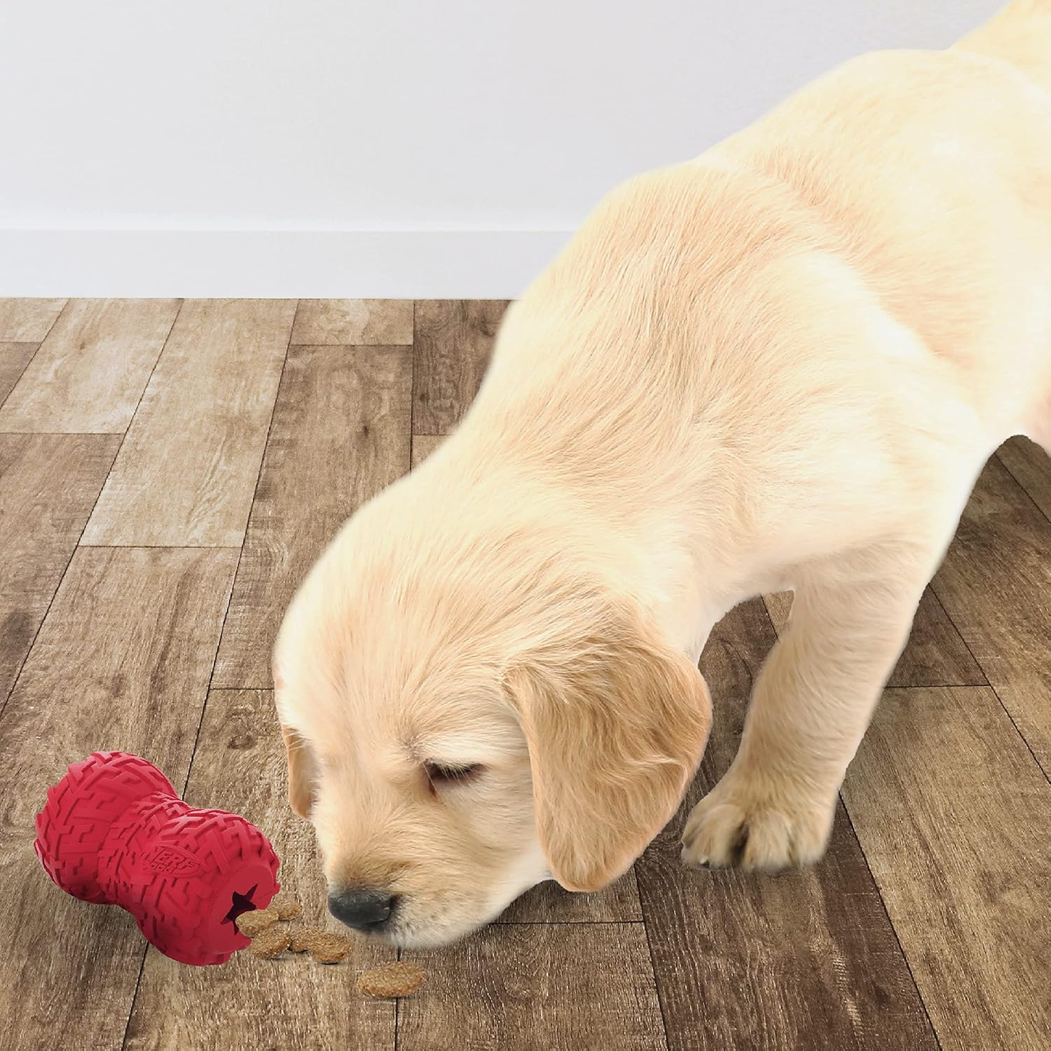 Nerf Dog Tire Feeder Dog Toy, Lightweight, Durable and Water Resistant, 4 Inches, for Medium/Large Breeds, Two Pack, Blue and Red