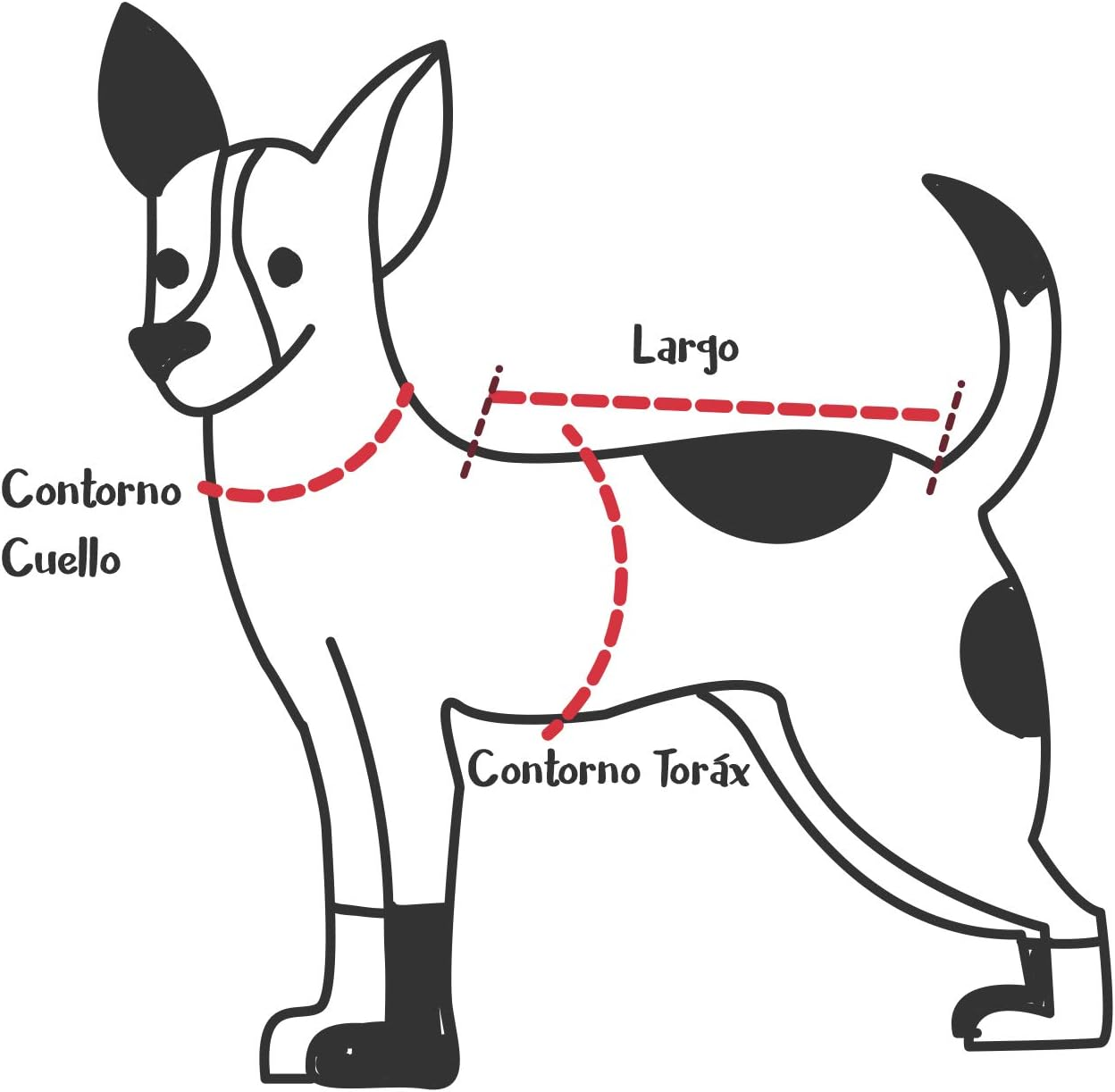 Dog Lead - Size S-M - Valencia Pet Accessories Football Official Product (Cyp Brands) image number 6