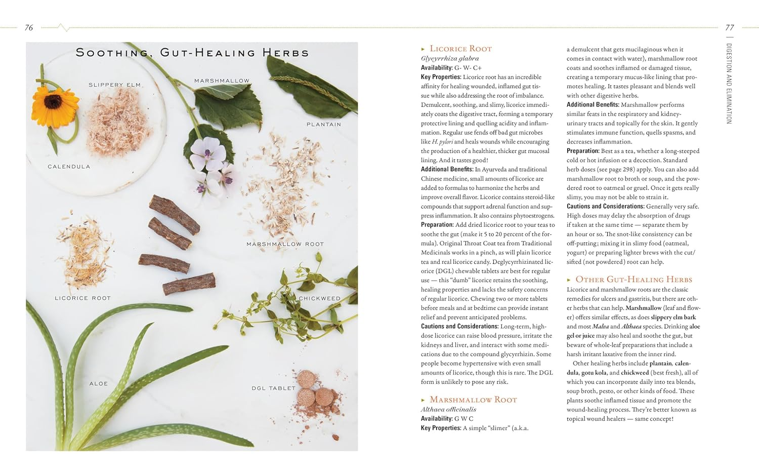 Body into Balance: an Herbal Guide to Holistic Self-Care image number 1