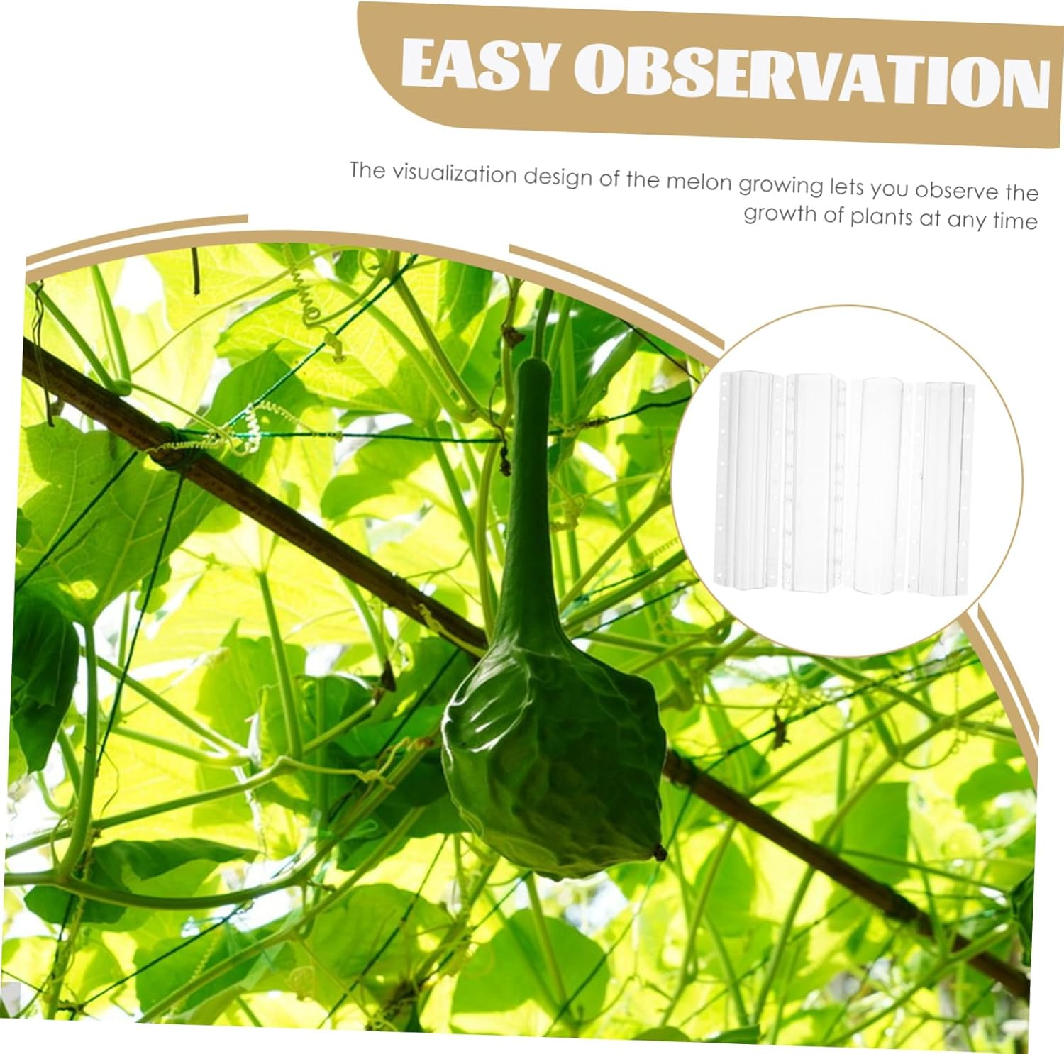 BESPORTBLE 4Pcs Reusable Vegetable Shaping Molds Fruit Growing Molds Melon Ginseng Fruit DIY Gardening Tools for Boys and Girls Adults image number 6