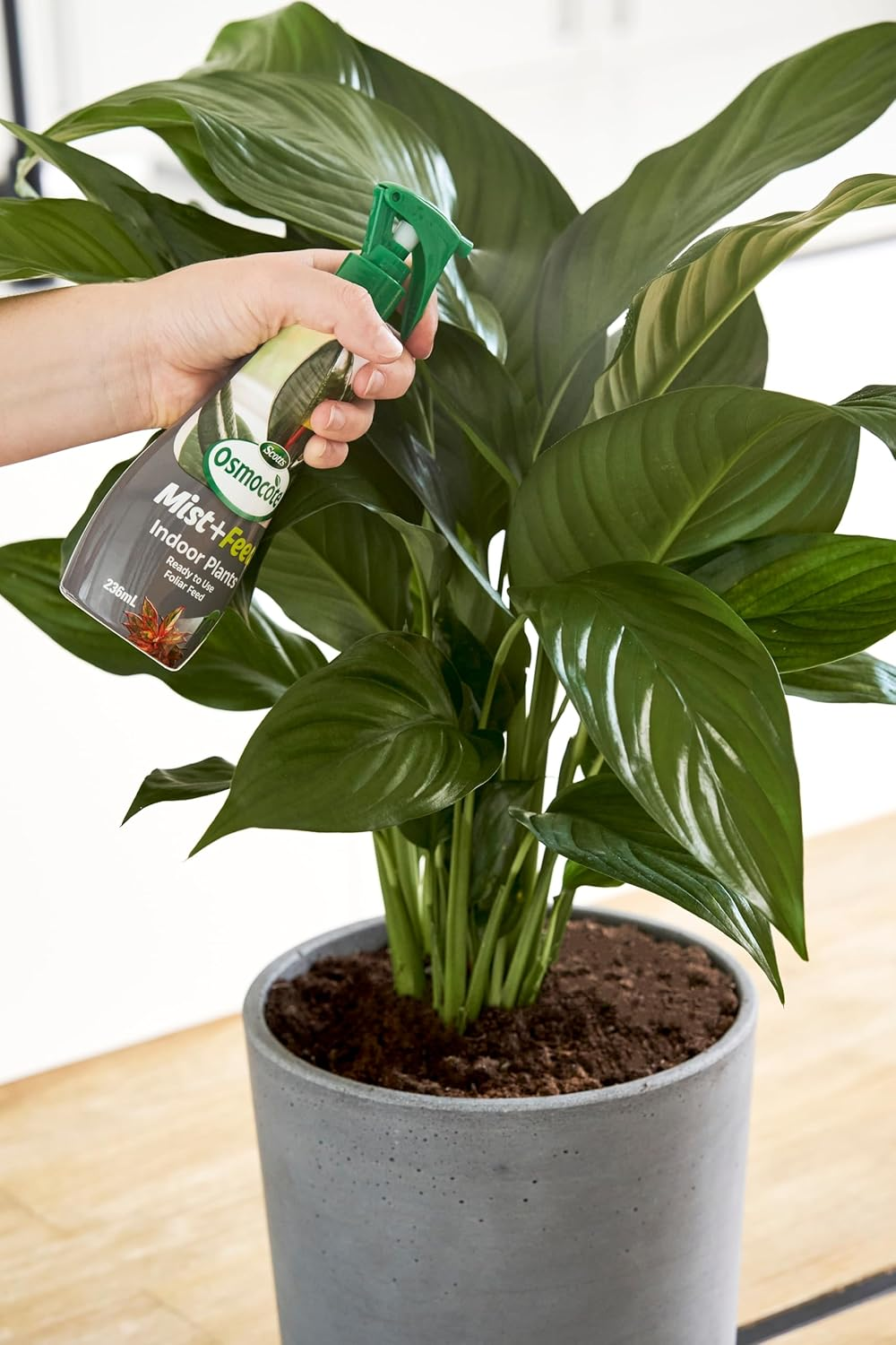 Scotts Osmocote Mist and Feed House Plants Fertilizer 236 Ml image number 3