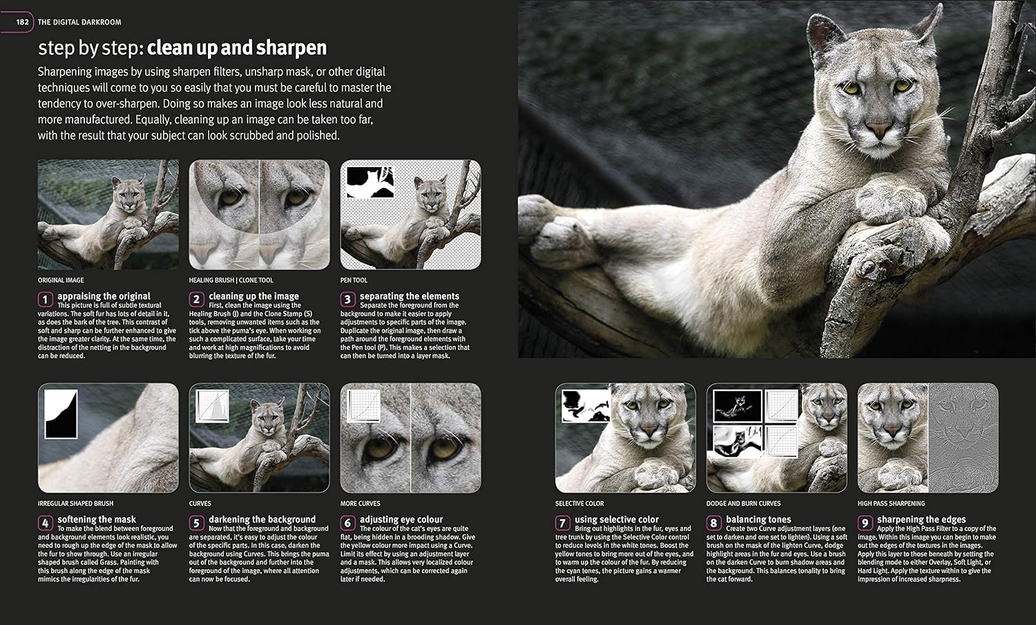 Digital Photography Masterclass: Advanced Techniques for Creating Perfect Pictures