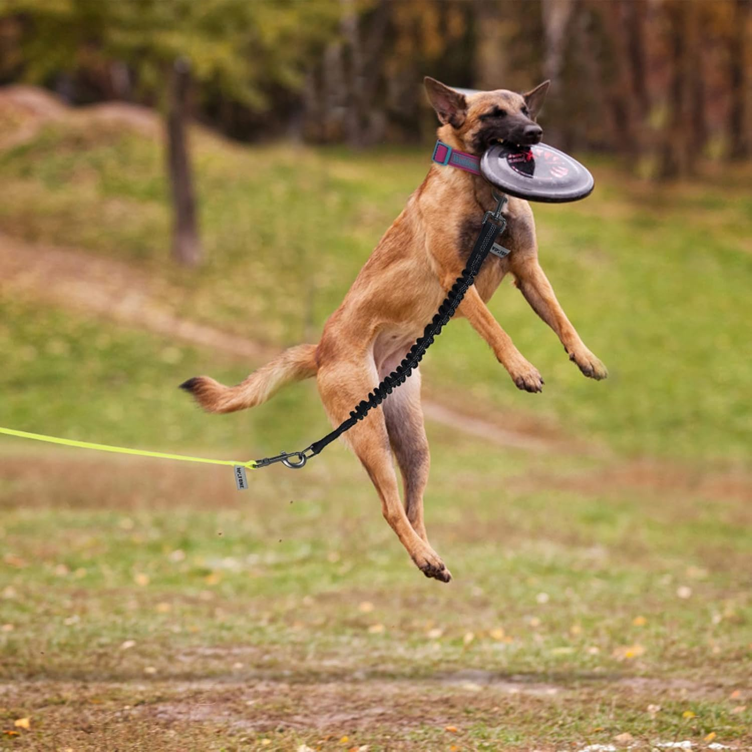 Shock Absorber Set of 2 - Adjustable Dog Safety Belts (45-66 Cm) for Car/Travel | 2.5 Cm Wide Nylon Strap for Small/Medium/Large Dogs | Shock-Absorbing Design with Snap Hook | Black Double image number 2