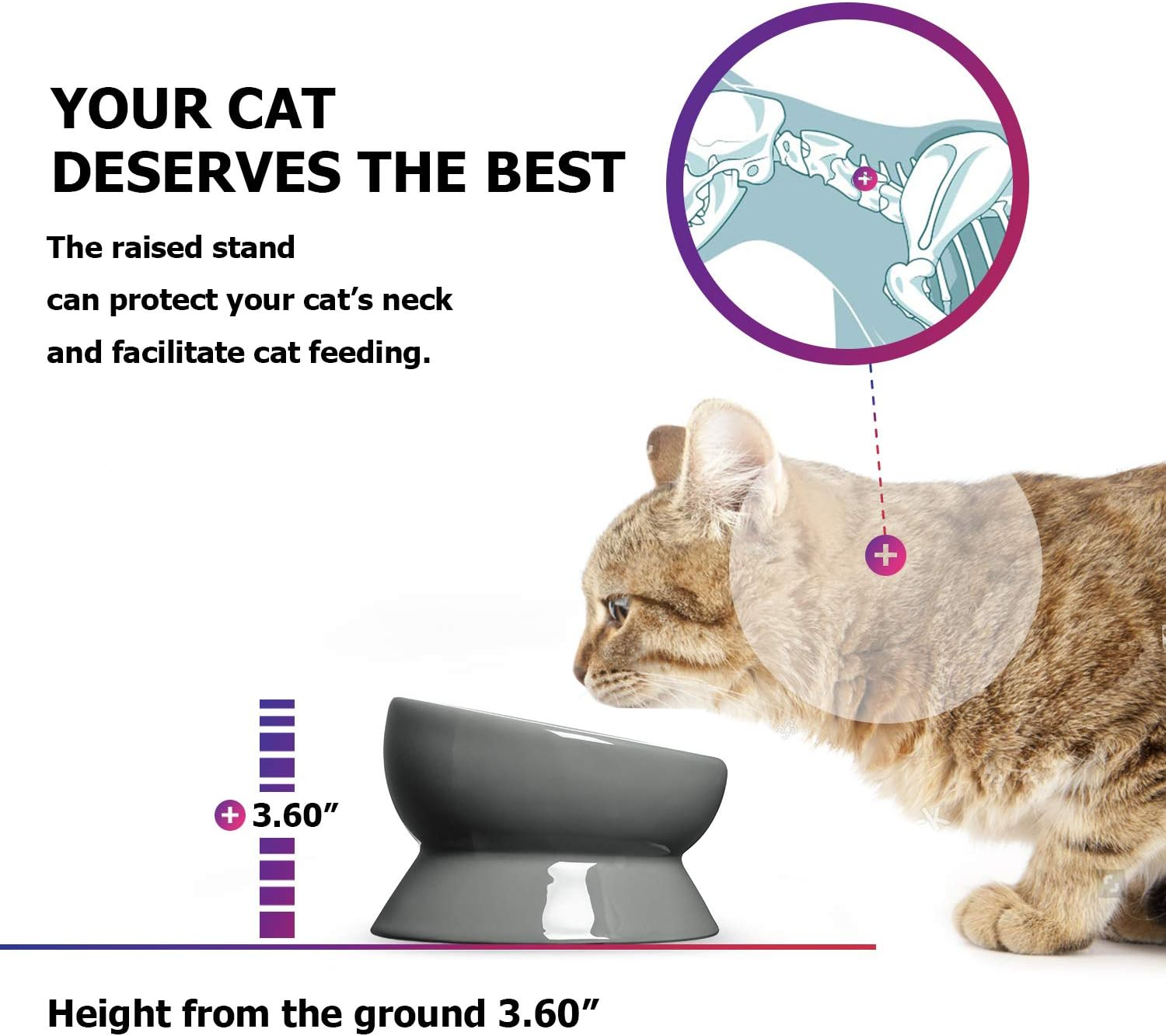 Y YHY Elevated Cat Food Bowl, Raised Pet Food and Water Bowl, Ceramic, 15Oz image number 4