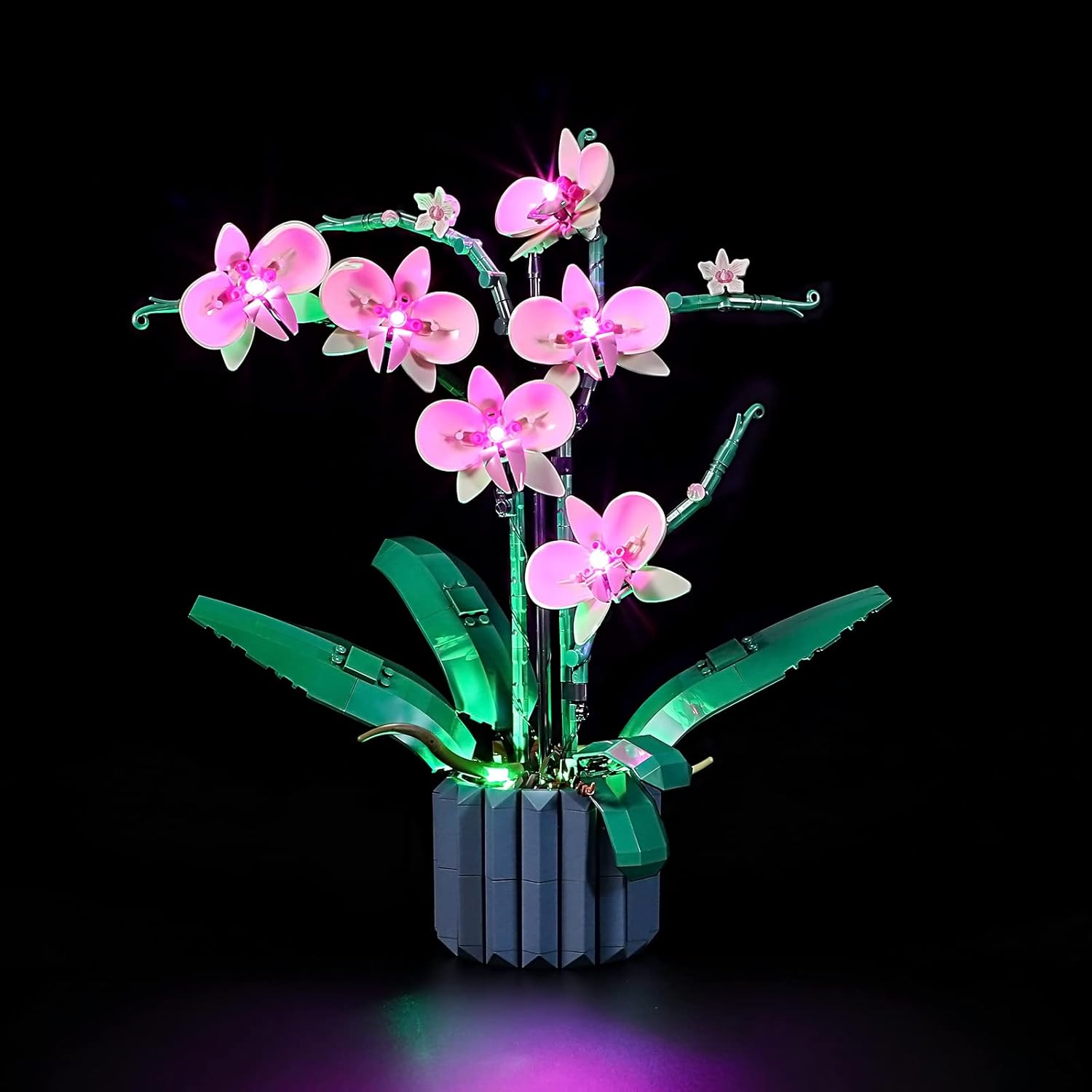 GEAMENT LED Light Kit Compatible with  Orchid - Lighting Set for Creator 10311 Building Model ( Set Not Included) image number 2