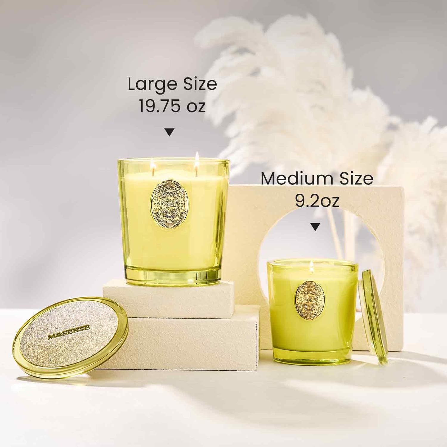 M&SENSE Natural Soy Wax, Seattle Rainforest Scented Aromatherapy Candle for Women and Men - 9.2 Oz, 50 Hours Burn Time, Orange |Luxury Home Scented and Home D&eacute;cor image number 1