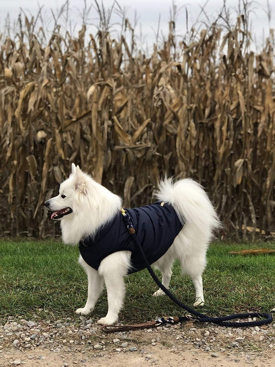 Double Layer Fleece Warm Dog Jacket Coat Vest for Puppy Winter Cold Weather Soft Windproof Apparel for Small Medium Large Dogs (L) image number 3