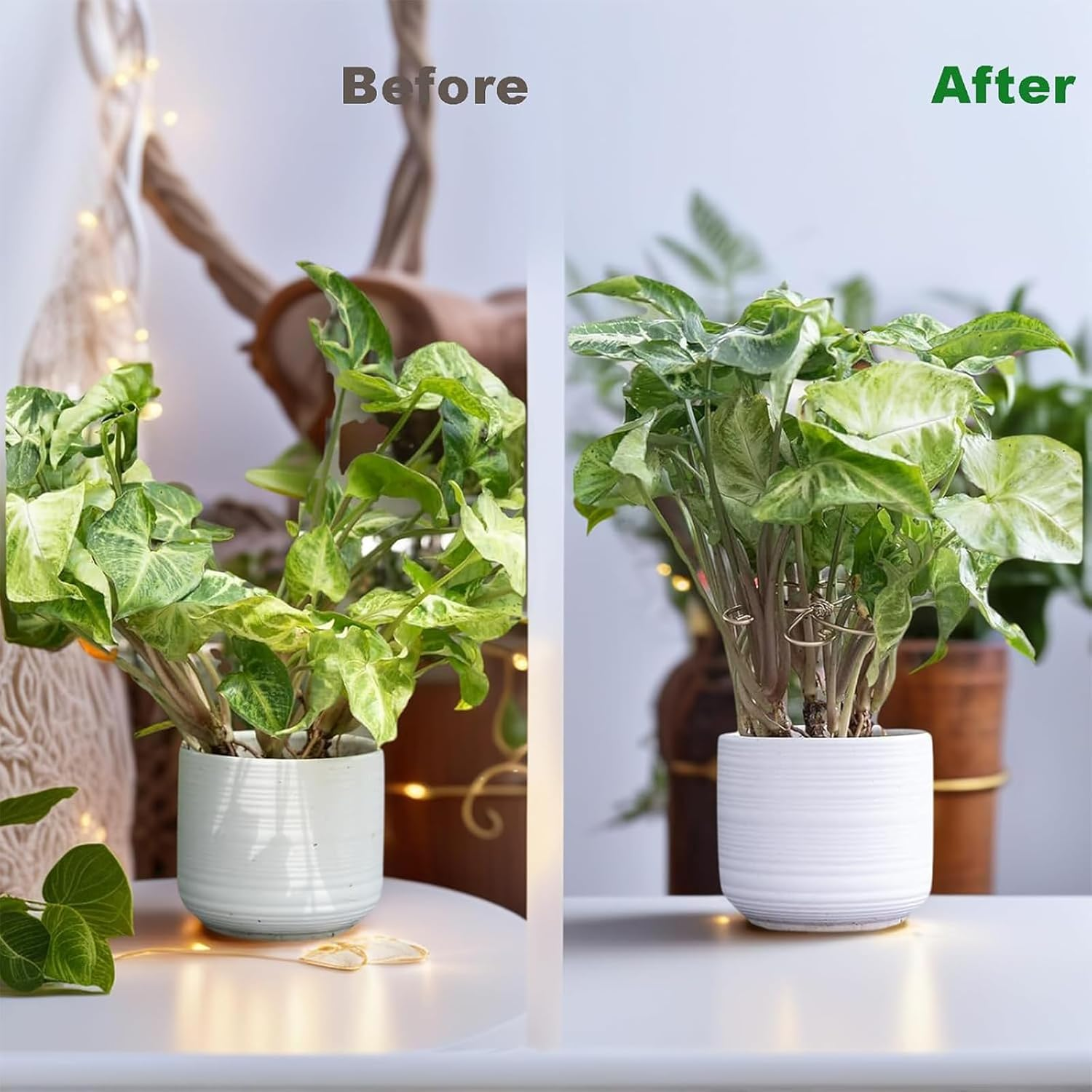 5-Pack Iron Plant Stem Supports for Monstera & Climbing Plants, Durable Hooked Design with Bamboo Clips, Indoor/Outdoor Leaf Stabilizers for Healthy Growth image number 3