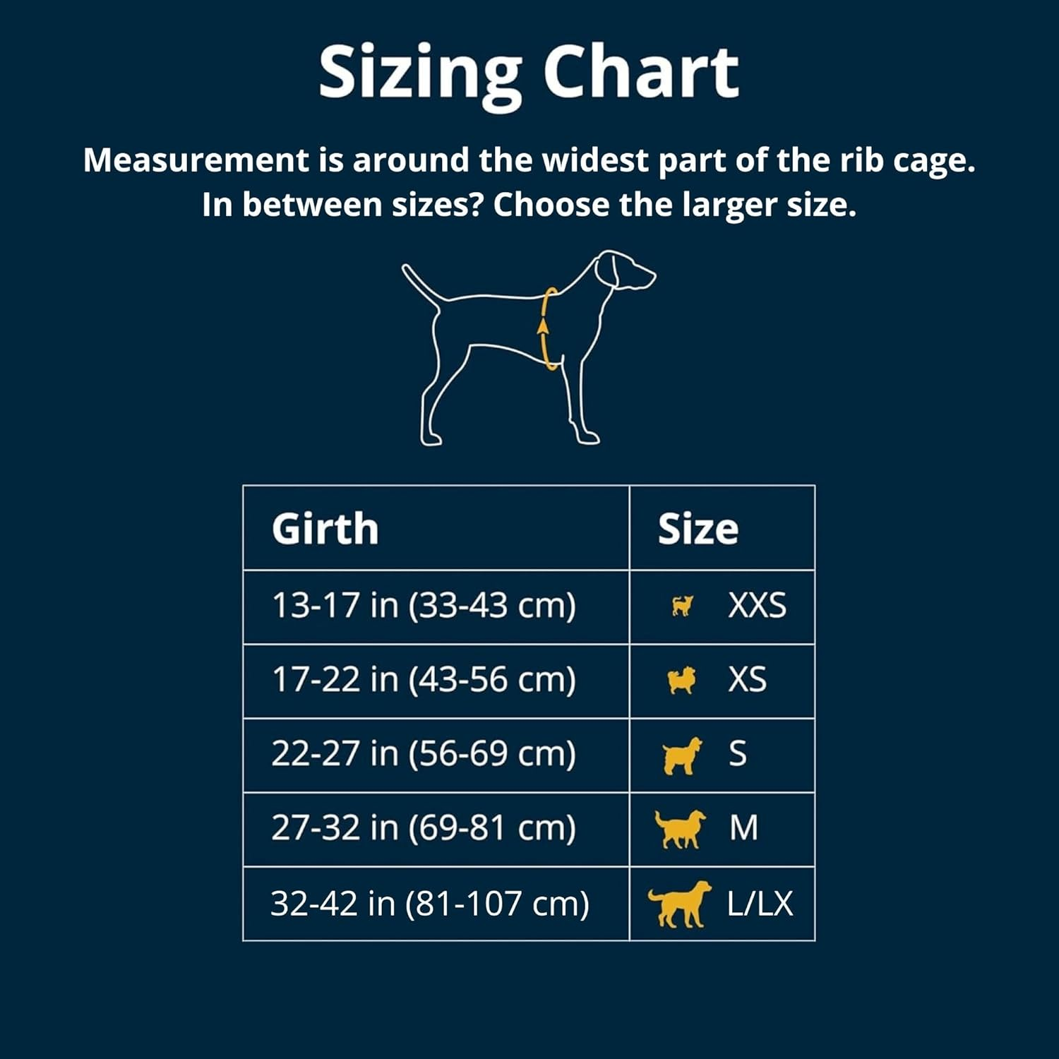 Ruffwear Front Range Harness Blue Pool L/XL image number 2