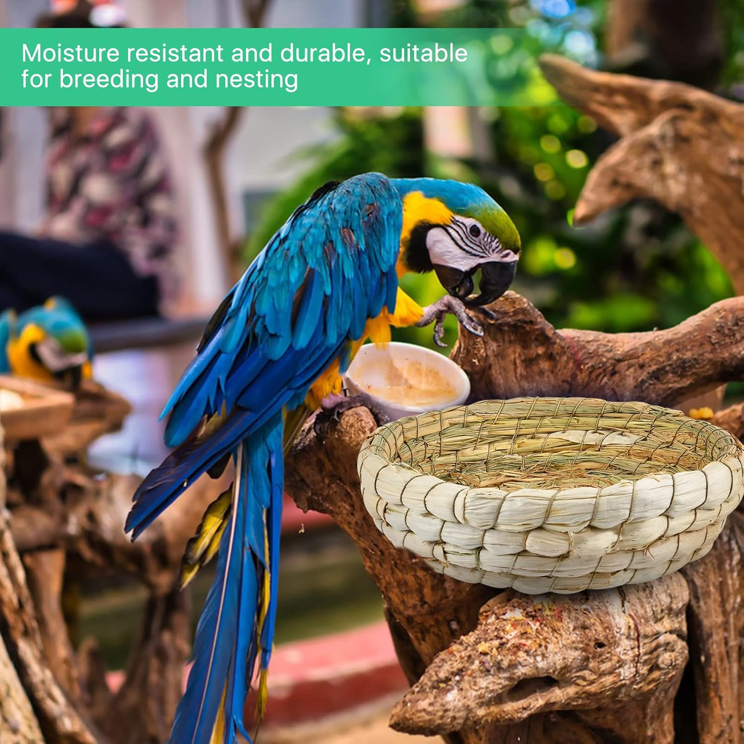 4 Pcs Bird Nest Handmade Woven, Small Animal Breeding Nest Bed with Corn Leaves Flat Base Natual Straw Bird House Cage Accessories for Dove Pigeon Parrot Sparrow image number 3