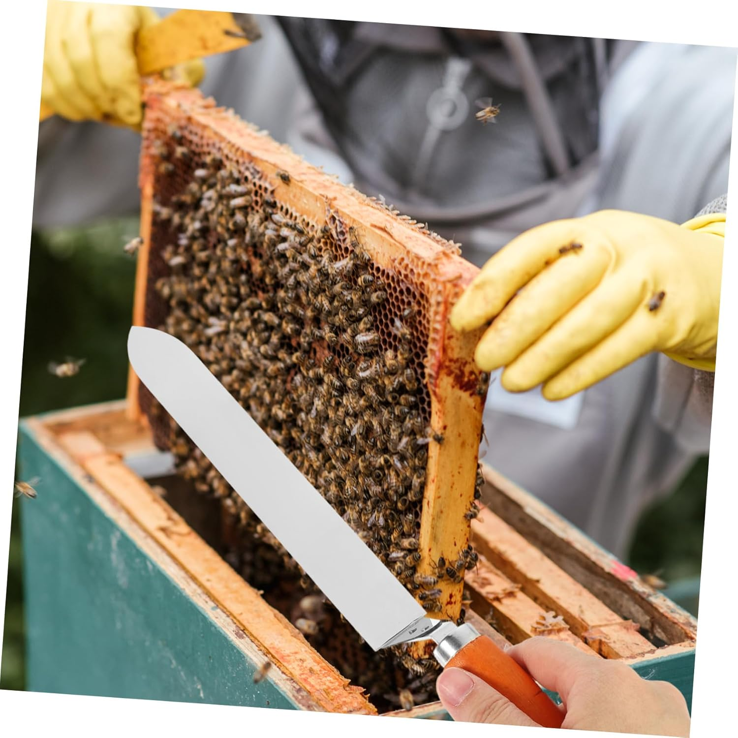Toddmomy Stainless Steel Uncapping Knife Honey Extractor Tool with Wooden Handle Efficient Z Type Honey Scraper for Beekeeping Small Easy Operation Practical Equipment for Random Color image number 1