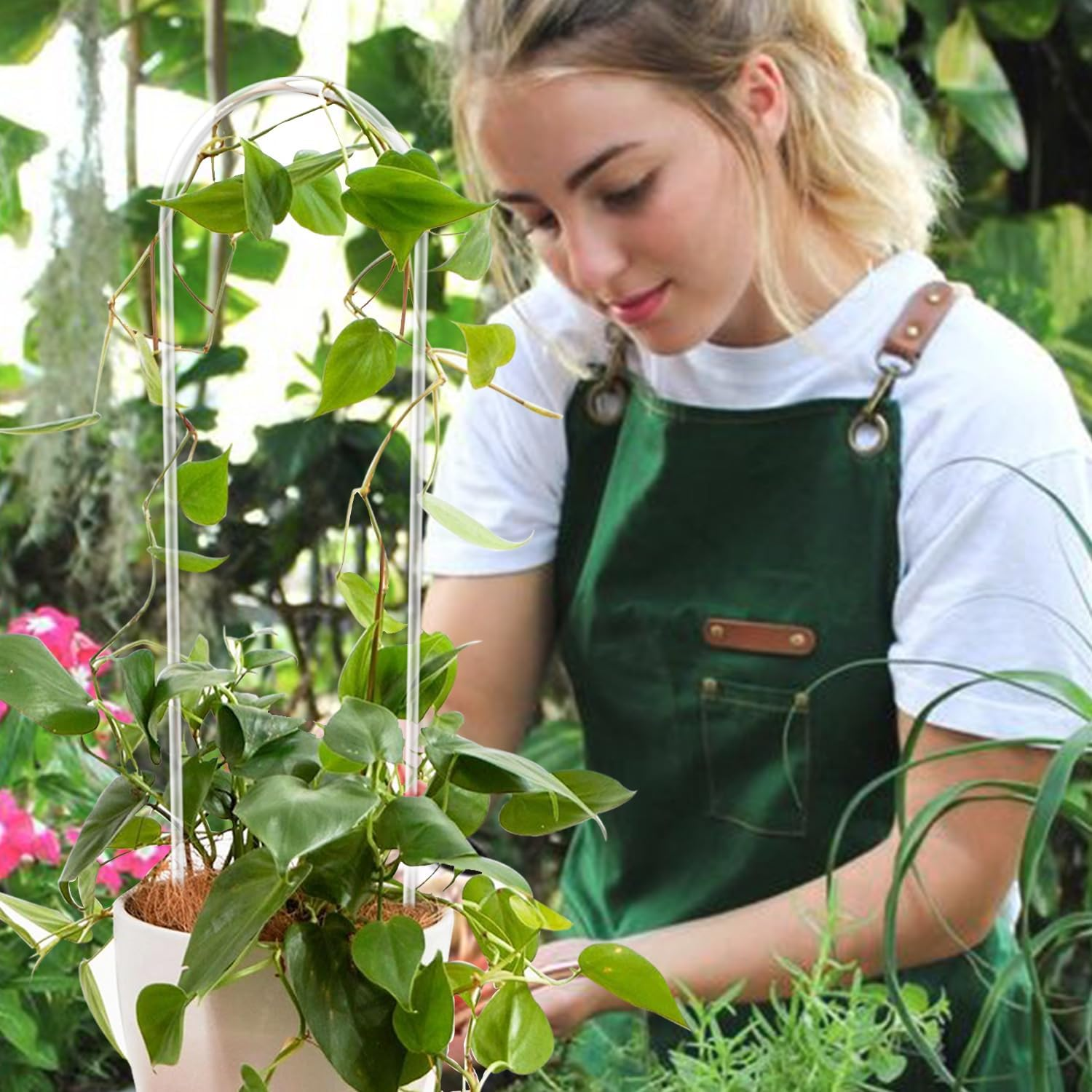 2 Pack U-Shaped Clear Acrylic Trellis for Indoor Plants, Small Plant Support for Potted Climbing Vines, Hoya, Ivy - Indoor Outdoor Use image number 1