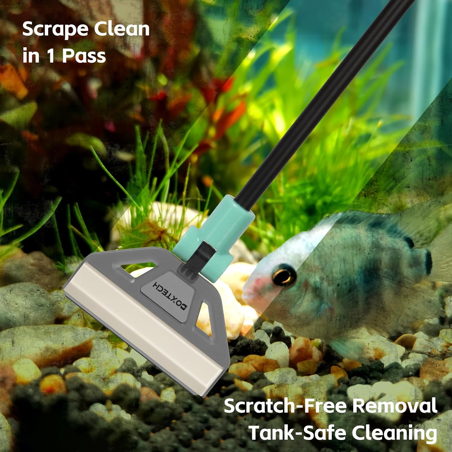 Boxtech Fish Tank Cleaner Kit, 2 in 1 Aquarium Algae Scraper with 5 Stainless Steel Blades, Adjustable Brush Head Angle and Handle Length Aquarium Cleaning Tool Set image number 2