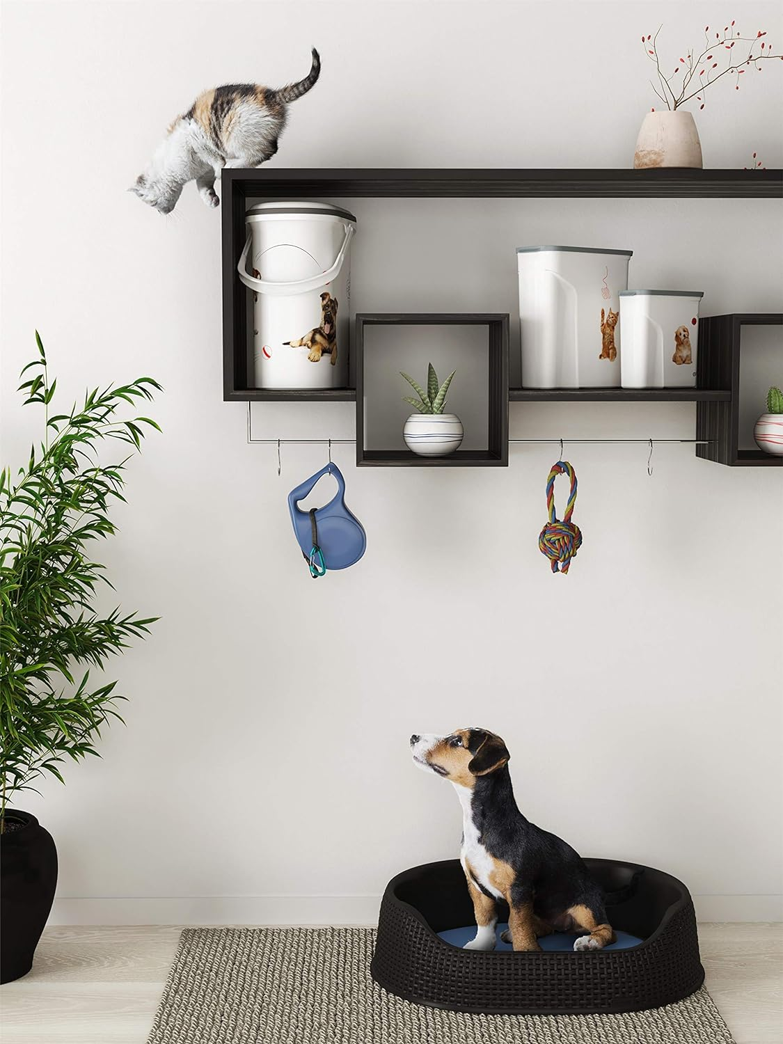 Curver Pet Basket 67 X 49 X 16 Cm, Anthracite image number 1