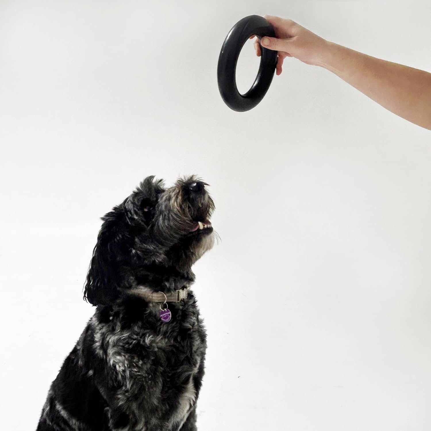 K9 Dog Chew Toy Ring - Natural Rubber, Indestructible Design for Aggressive Chewers, Small, Large Dog image number 3
