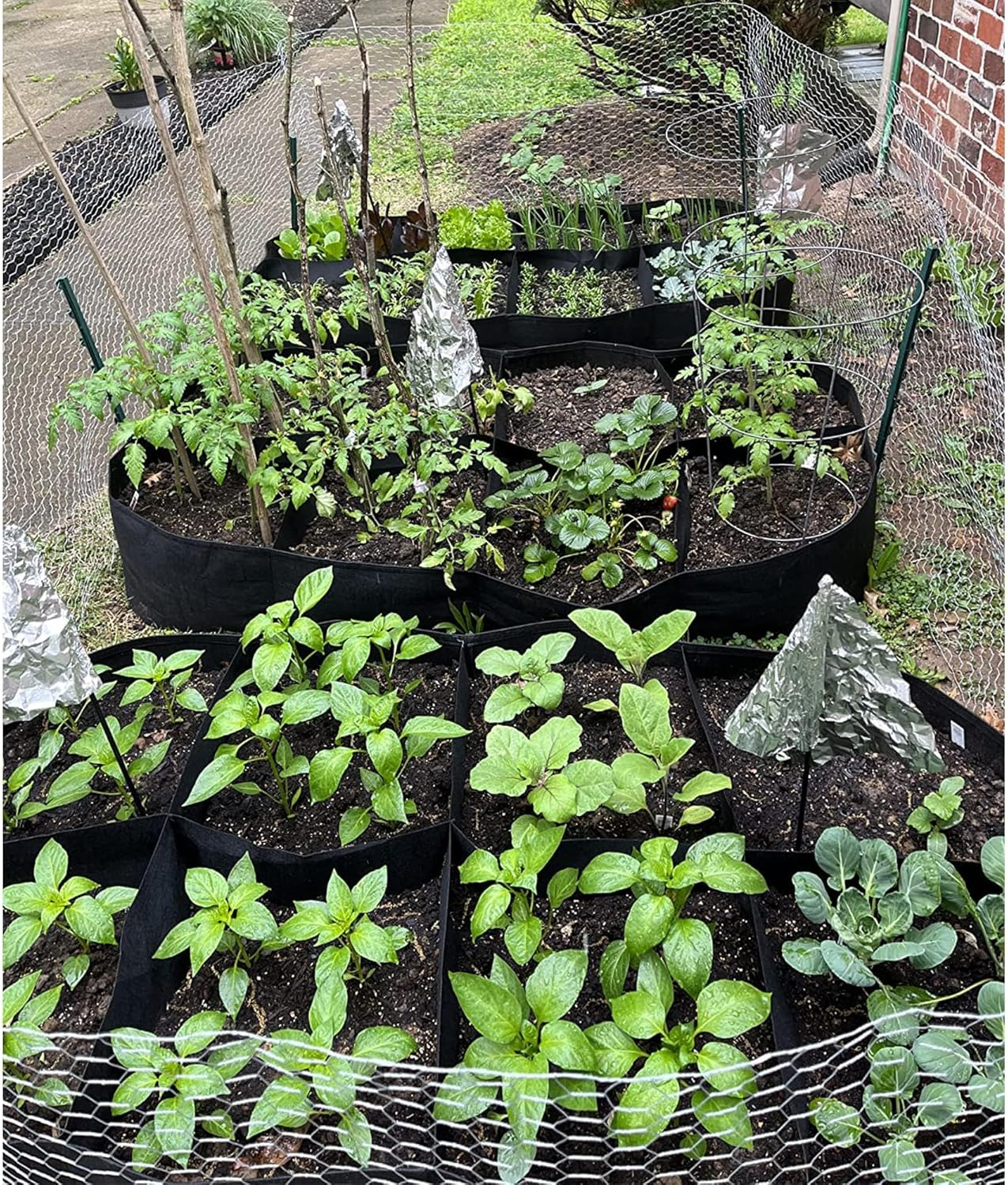 CJGQ Fabric Raised Garden Bed 6X3X1Ft Garden Grow Bed Bags for Growing Herbs, Flowers and Vegetables 128 Gallon image number 4