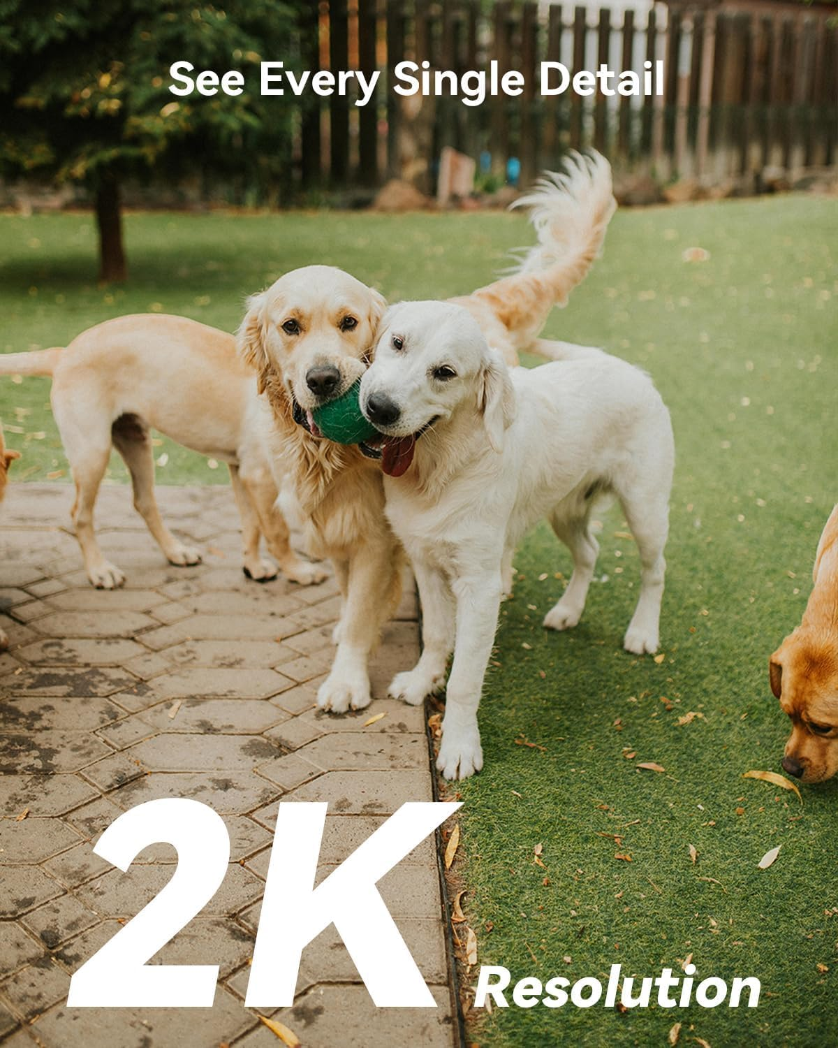 Imou 360&deg; Security Camera Outdoor with AI Human/Motion Detecion, 30M Color Night Vision, PTZ Wifi Home IP CCTV Camera 1080P, Auto Tracking, Siren, 2-Way Audio, IP66 Weatherproof, Works with Alexa image number 6