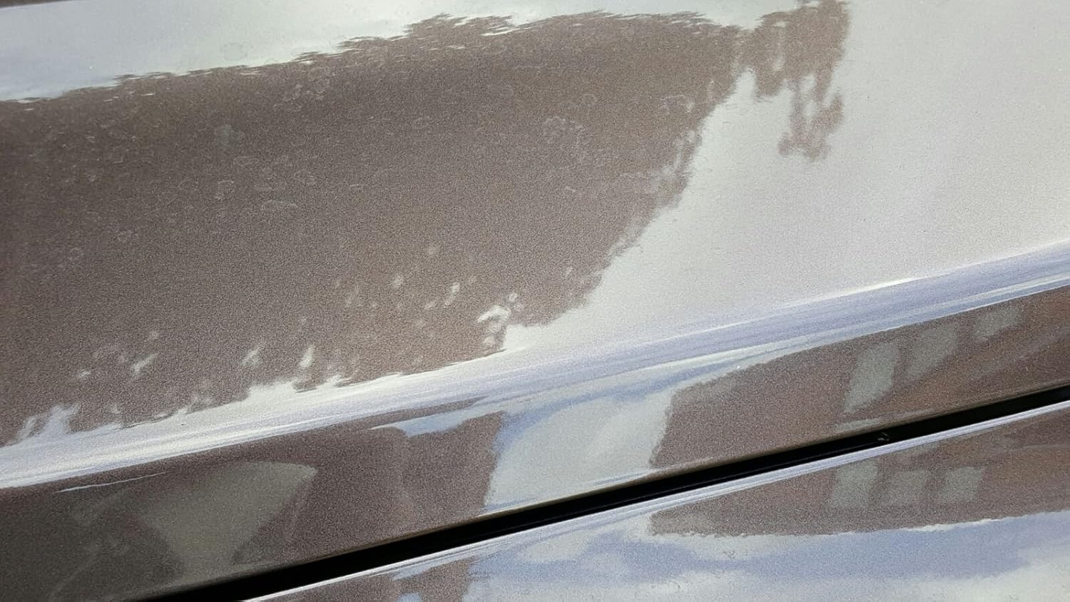 Nushine Bird Dropping and Insect Strike Remover Spray 50Ml (Eco-Friendly Formula) image number 4