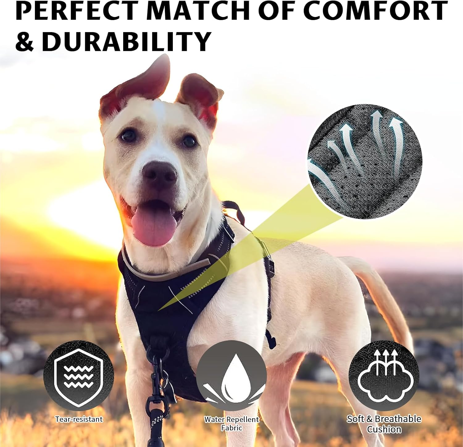 VCCLFSIA No Pull Dog Harness with 1.5M/5Ft Dog Leash, Adjustable Soft Padded, Reflective Oxford No-Choke Pet Oxford Dog Vest with Control Handle for Small Medium Large Dogs (Black, S) image number 5