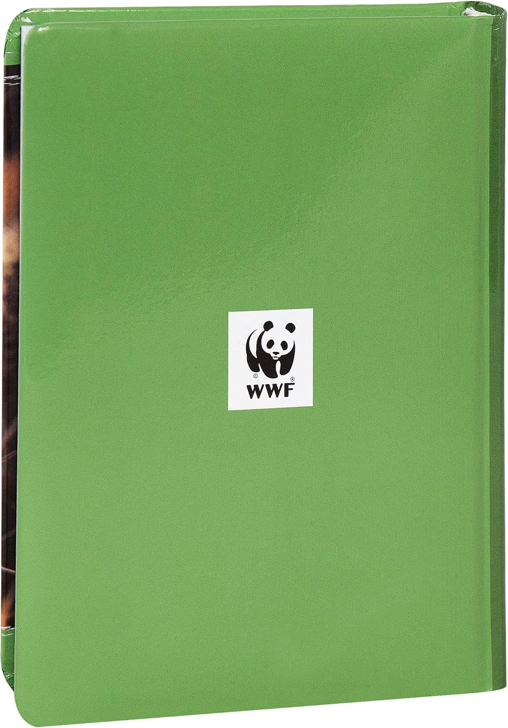 WWF Academic Diary 2025-2026 Official WWF Diary 12 Months Ideal for Elementary or Middle School with Hard Cover with Leopard Photo and 352 Coloured Pages 5.1 X 7 Inches image number 4
