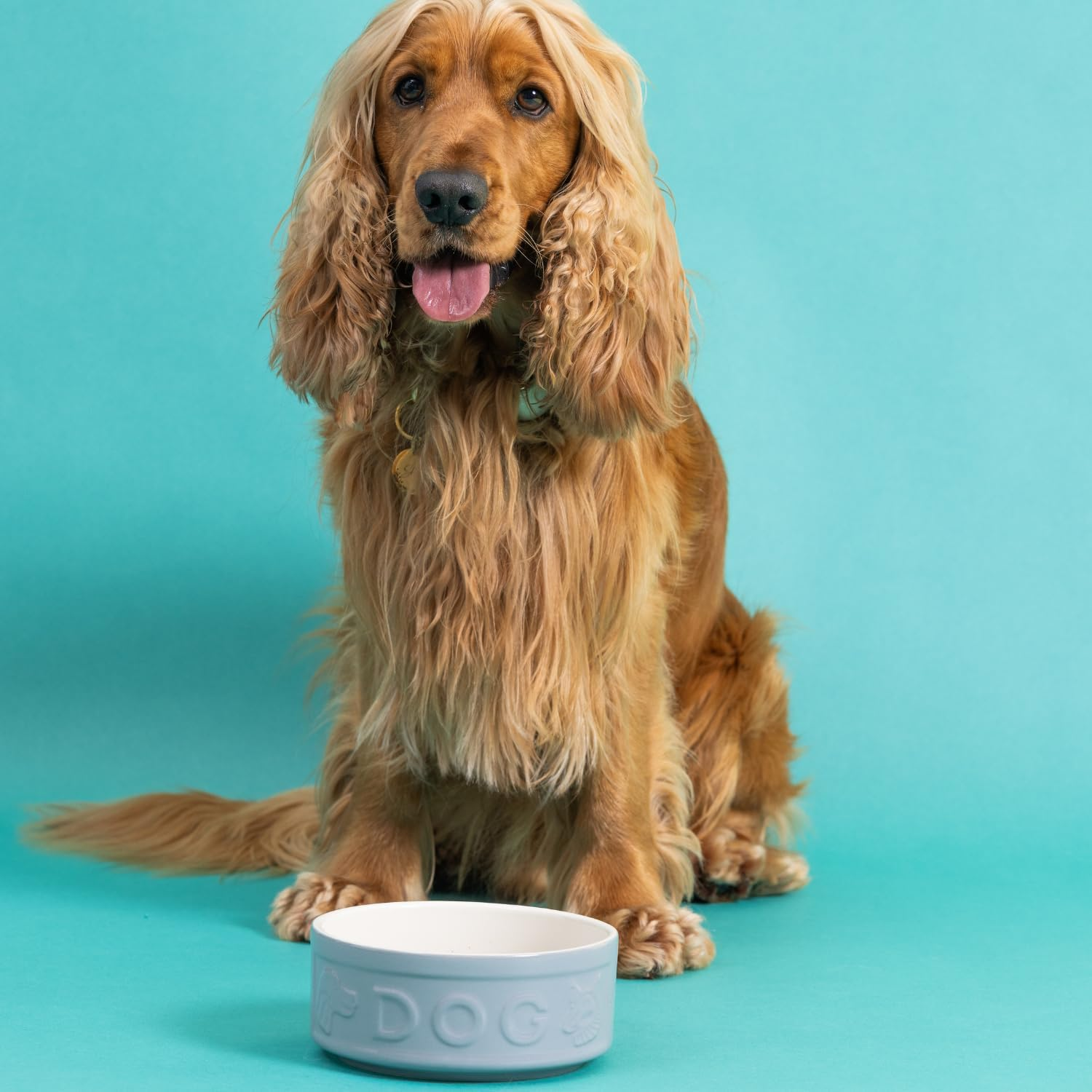 Mason Cash Grey Lettered Dog Bowl 15 Cm - Grey image number 4