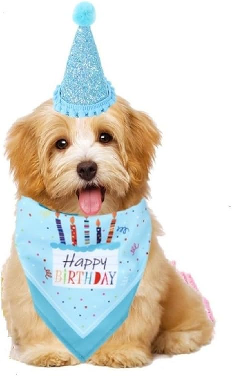 Generic Dog Birthday Hat Set with Number - Blue, One Size image number 2