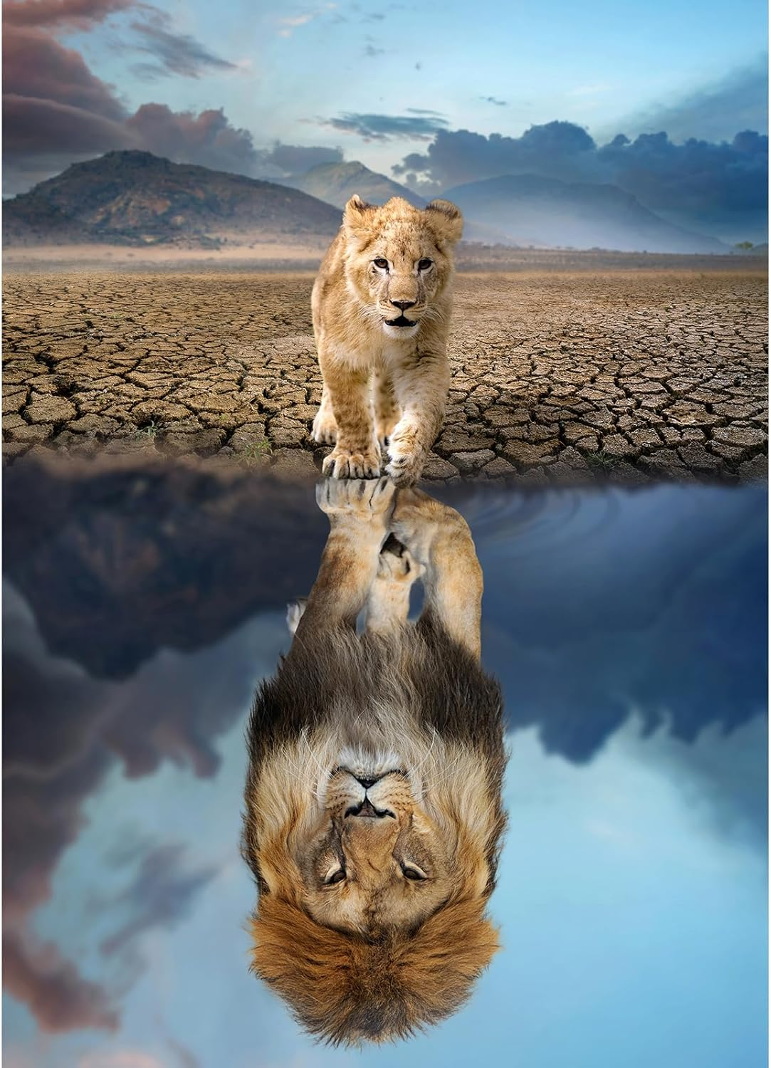 HUADADA Jigsaw Puzzles for Adults 1000 Pieces, Puzzles for Adults 1000 Piece, Challenging Game Toys, Impossible Puzzle, Family Decoration Puzzle - Magic Reflection image number 3