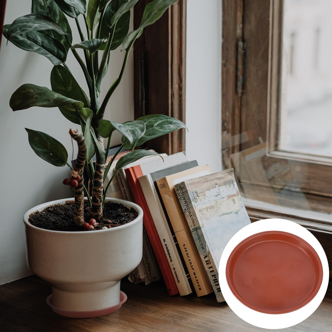 Alasum 10Pcs Red Plastic Flower Pot Trays Heat-Resistant Plant Saucers Non-Slip Base for Indoor Outdoor Garden Succulents Protect Surfaces image number 6