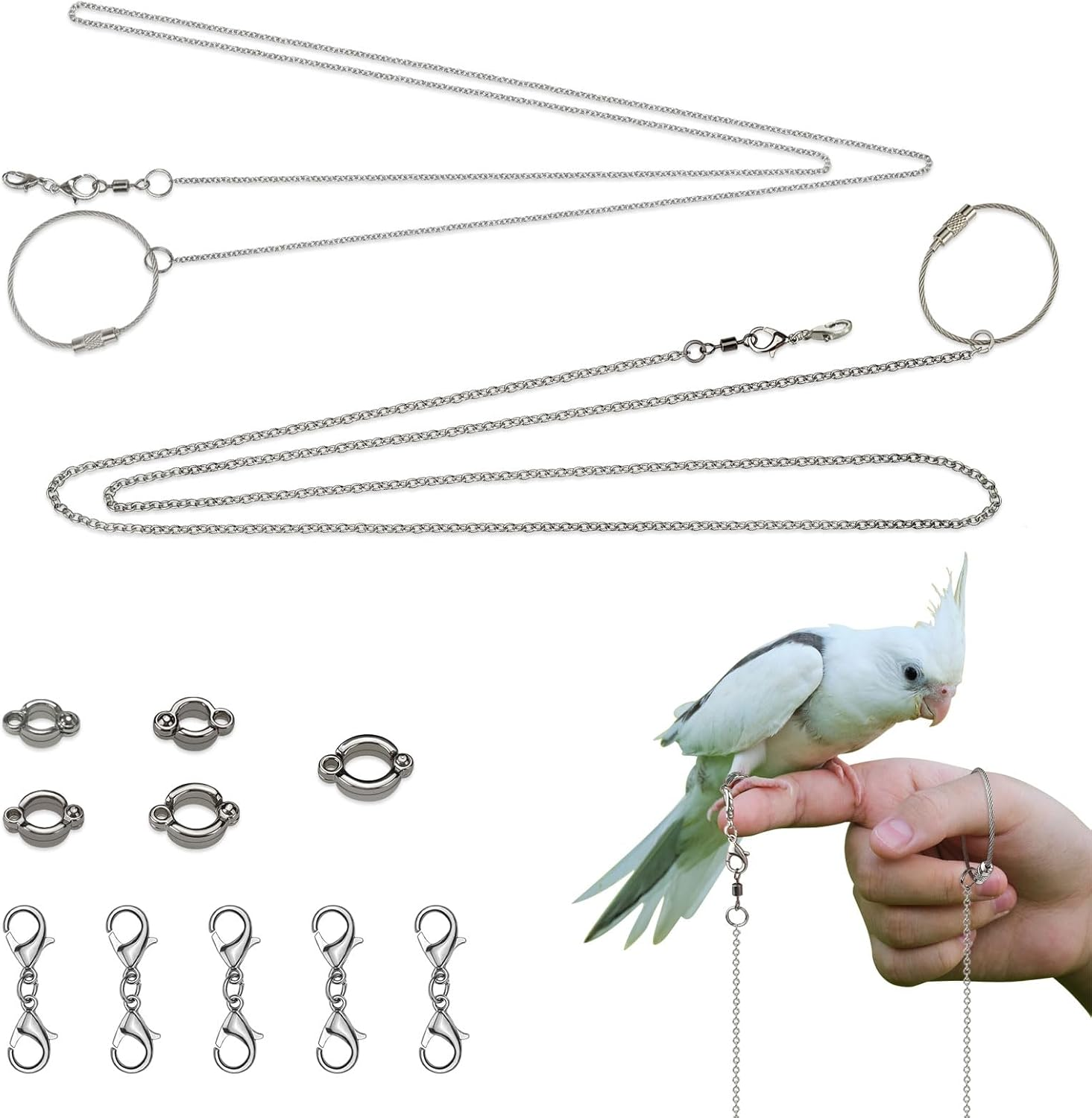 LELE LIFE 2 Pack 1M Bird Leash with 5 Sizes Ankle Rings, Stainless Steel Anti-Bite Parrot Bird Harness Flying Training Chain Leg Rope Outdoor Parrot Alloy Foot Ring image number 4