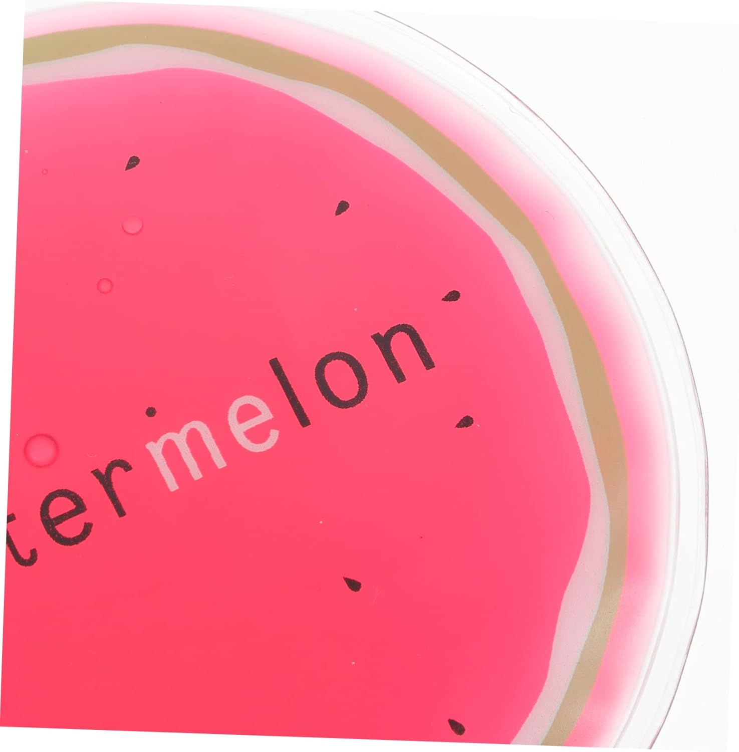 Gatuida 4Pcs Fruit Themed Ice Packs Reusable Gel Ice Packs for Decorative Cold Compresses Kiwi Watermelon and Injuries for Camping and Home Use image number 2