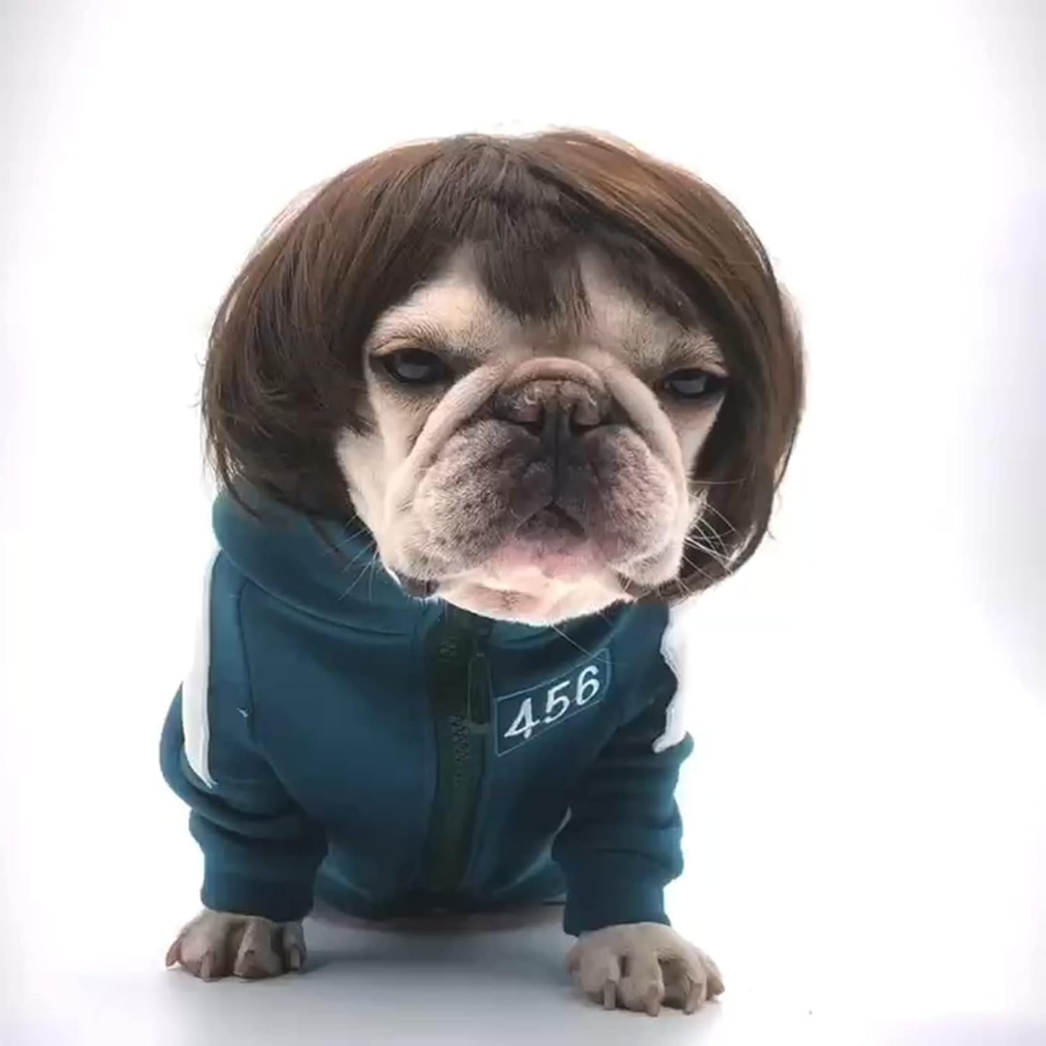 Funny Dog Cat Cosplay Wig, Pet Wigs for Halloween, Christmas, Parties, Festivals, Dog Wigs for Small Medium and Large Dogs (Black Brown Straight Hair)