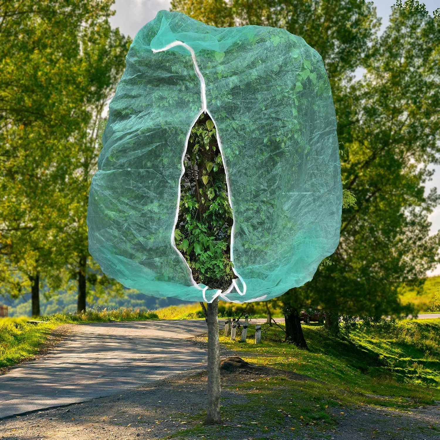2Pcs 10Ftx10Ft Large Fruit Tree Netting Bags, Bird Netting Cover for Protect Plant Mulch with Zipper and Drawstring Lightweight Mesh Net for Garden Vegetable Bush Protection (Green) image number 2