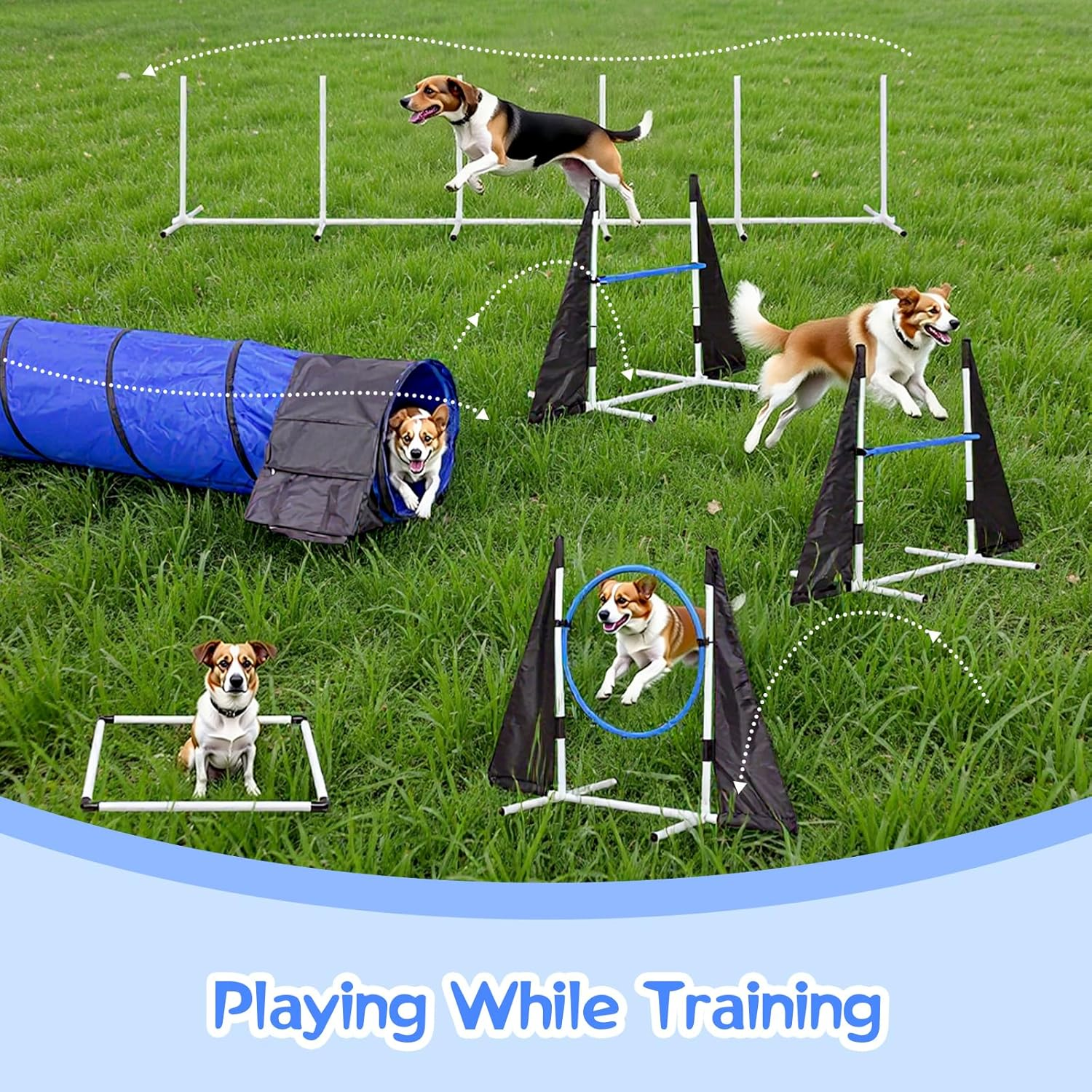 Advwin Dog Agility Training Equipment, Puppy Obstacle Course Kit Outdoor Game with Tunnel, Agility Hurdle, Weave Poles, Jump Ring, Pause Box, Toy Balls and Storage Bag image number 6