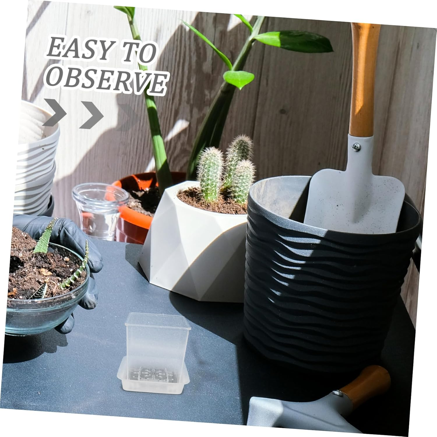 NAMOARLY Interactive Mini Plant Pots Hydroponic Design for Root Growth Observation Boys and Girls Seedling Pots Planters for Indoor Gardening Educational Planters image number 3