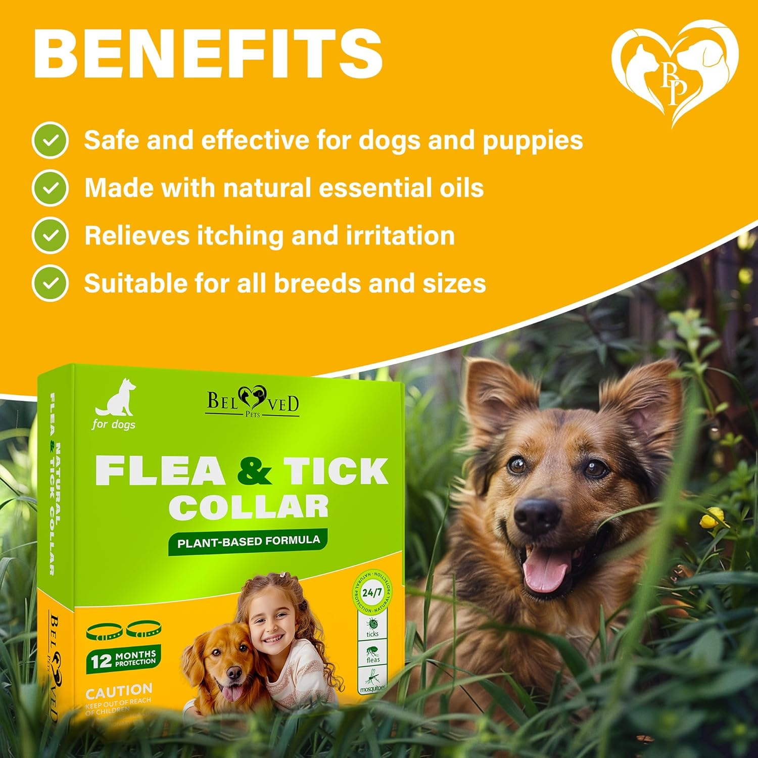 Rolf Club 3D FLEA Collar for Dogs - Flea and Tick Prevention for Dogs - Dog Flea and Tick Control for 6 Months - Safe Tick Repellent - Waterproof Tick Treatment (For All Dogs) image number 4