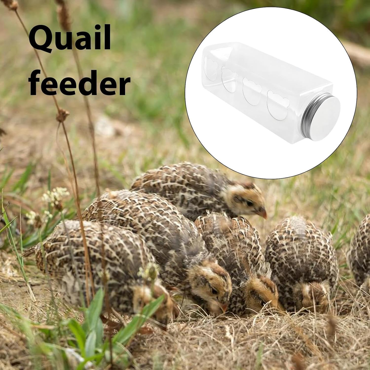 Maciun Quail Feeder - 4 Ports No Mess Chicken Feeder for Brooder - Portable Bottle Shaped Birdfeeders, Cage Accessories for Quail Parrots Budgies Basilisks Finches