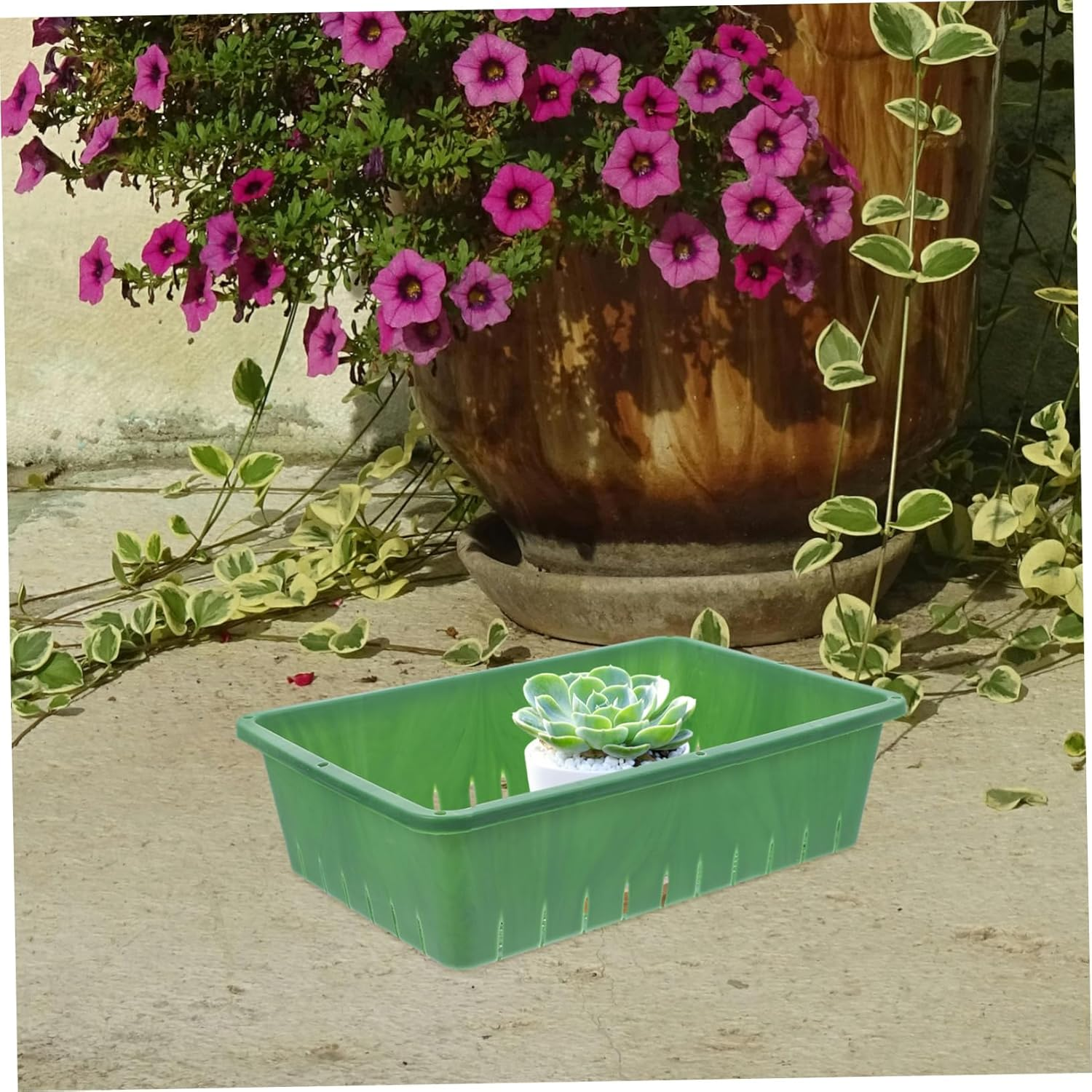 PAMINGONO Seedling Tray Plant Starter Propagation Tray for Gardening Indoor and Outdoor Use Small Green Plastic 26X18X7Cm 2Pcs Germination and Growing Container for Succulents and Seedlings image number 2