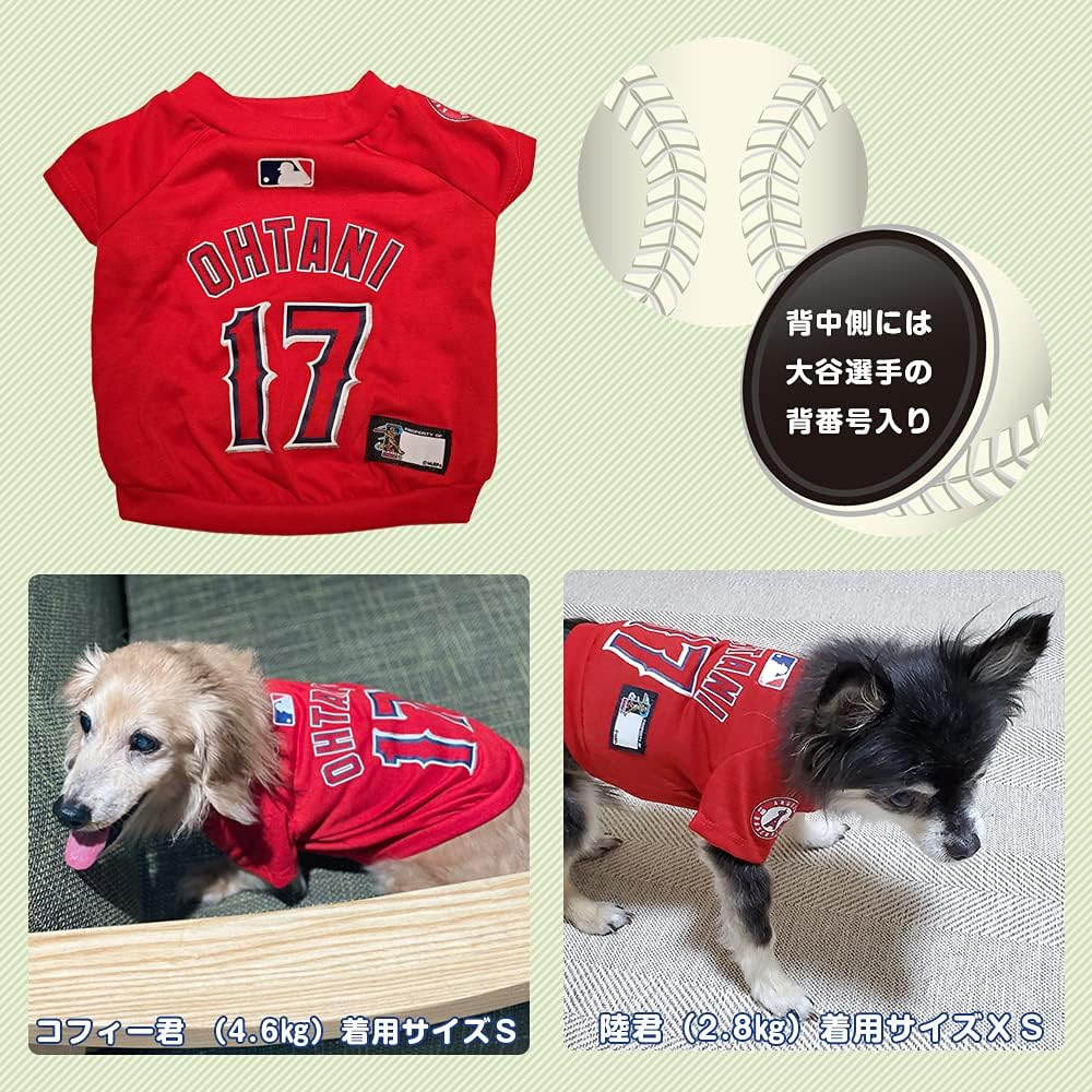 MLBPA SHOHEI OHTANI #17 TEE Shirt for Dogs & Cats. MLB Los Angeles Angels Dog T-Shirt, Large | Sports Dress for Pets | Licensed Sporty Dog Shirt. image number 6