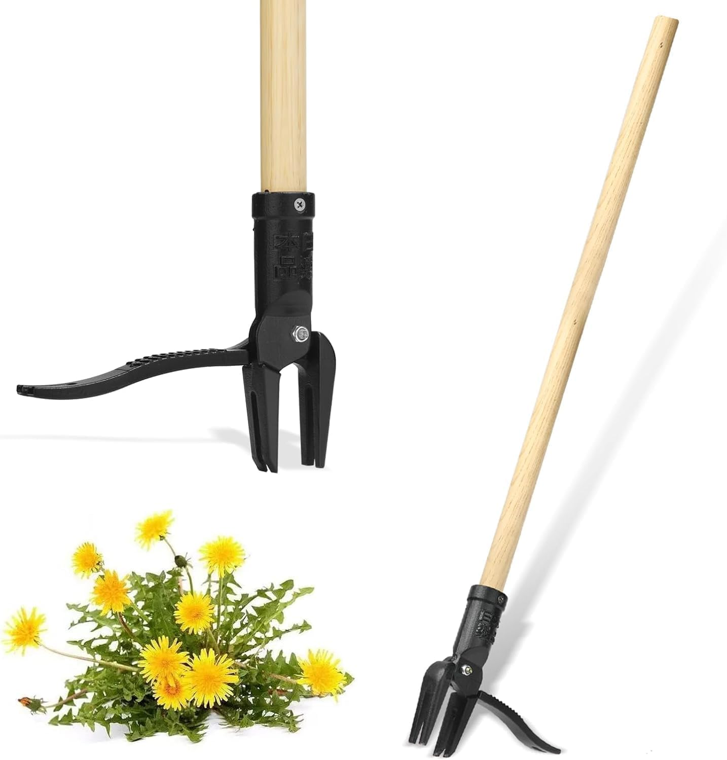 Weed Puller Tool Stand up Heavy Duty Weeding Tool with Long Wooden Handle and 4-Claw Steel Head, Easily Remove Weeds without Bending, Pulling, or Kneeling Garden image number 2