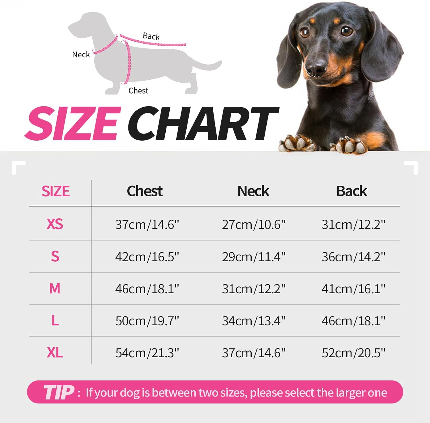 Hjyokuso Dachshund Jumper, Soft Elastic Dachshund Fleece Pullover for Mini Sausage Dogs, Lightweight and Breathable for Home Use or Outdoor Walks, All-Season Wear, Black XS image number 3