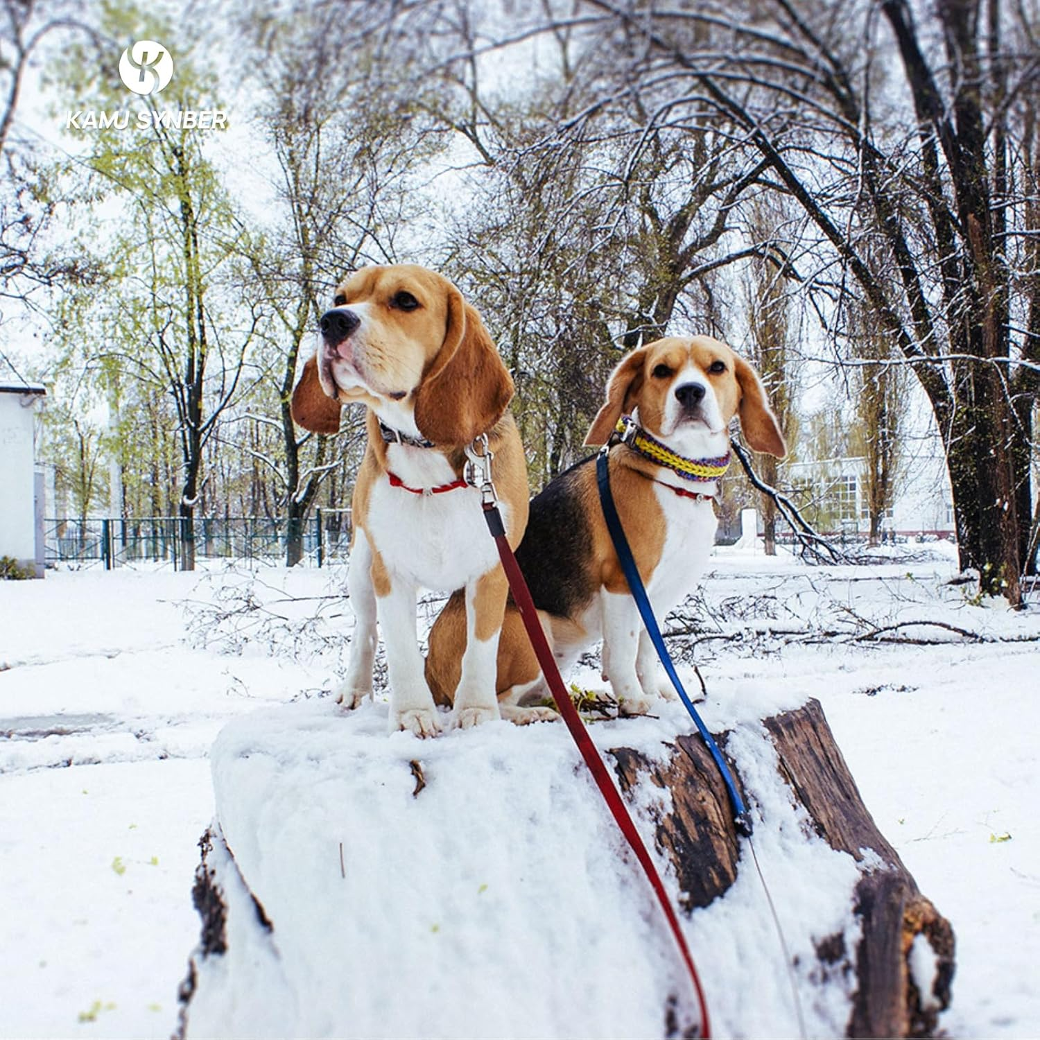 Kamu Synber 2Mm Paracord 30M 100% Nylon Rope 1 Strand Type I Parachute Cord for Crafting, Outdoor, DIY, Camping | Support 45Kg | Neon Orange - Army Green image number 4