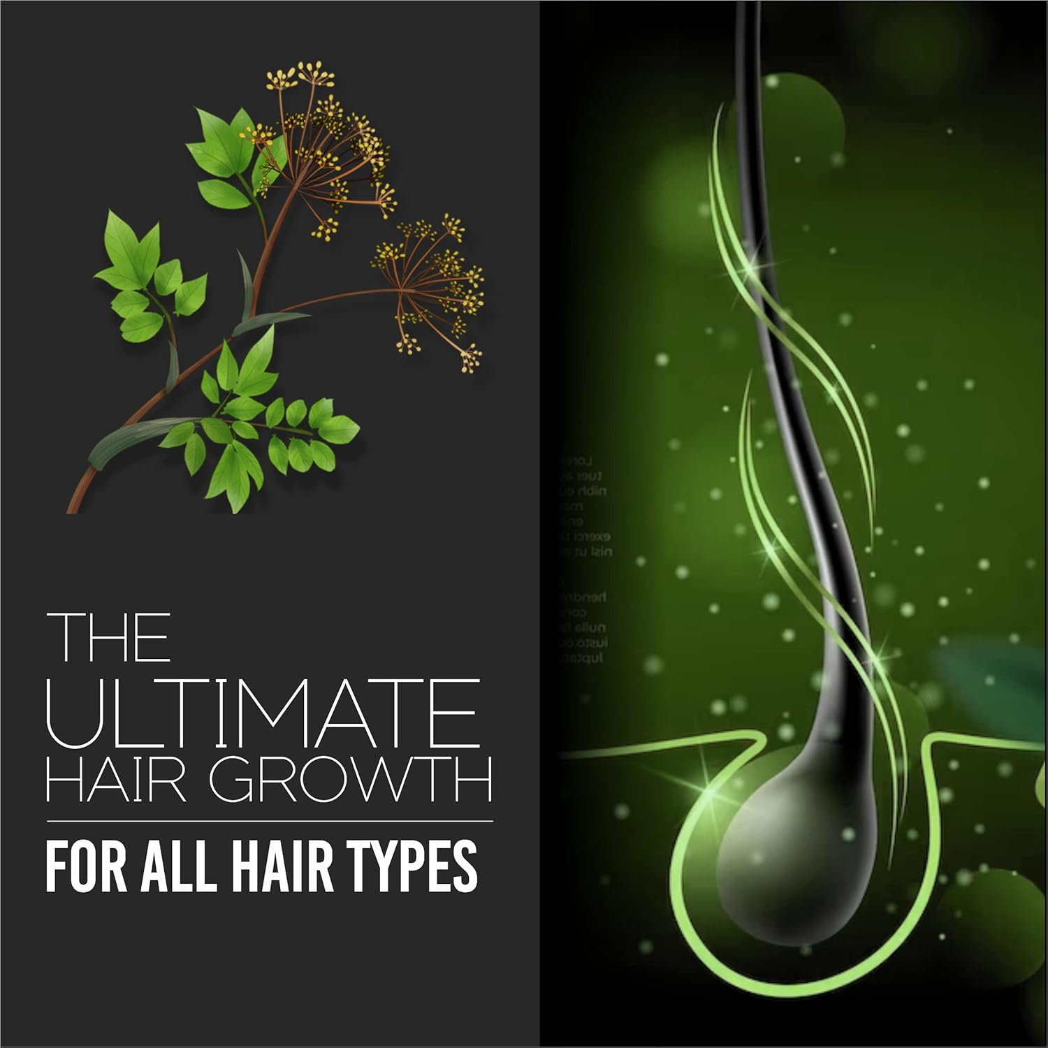 Pink Root Bhringraj Oil 100Ml, Pack of 1 image number 3